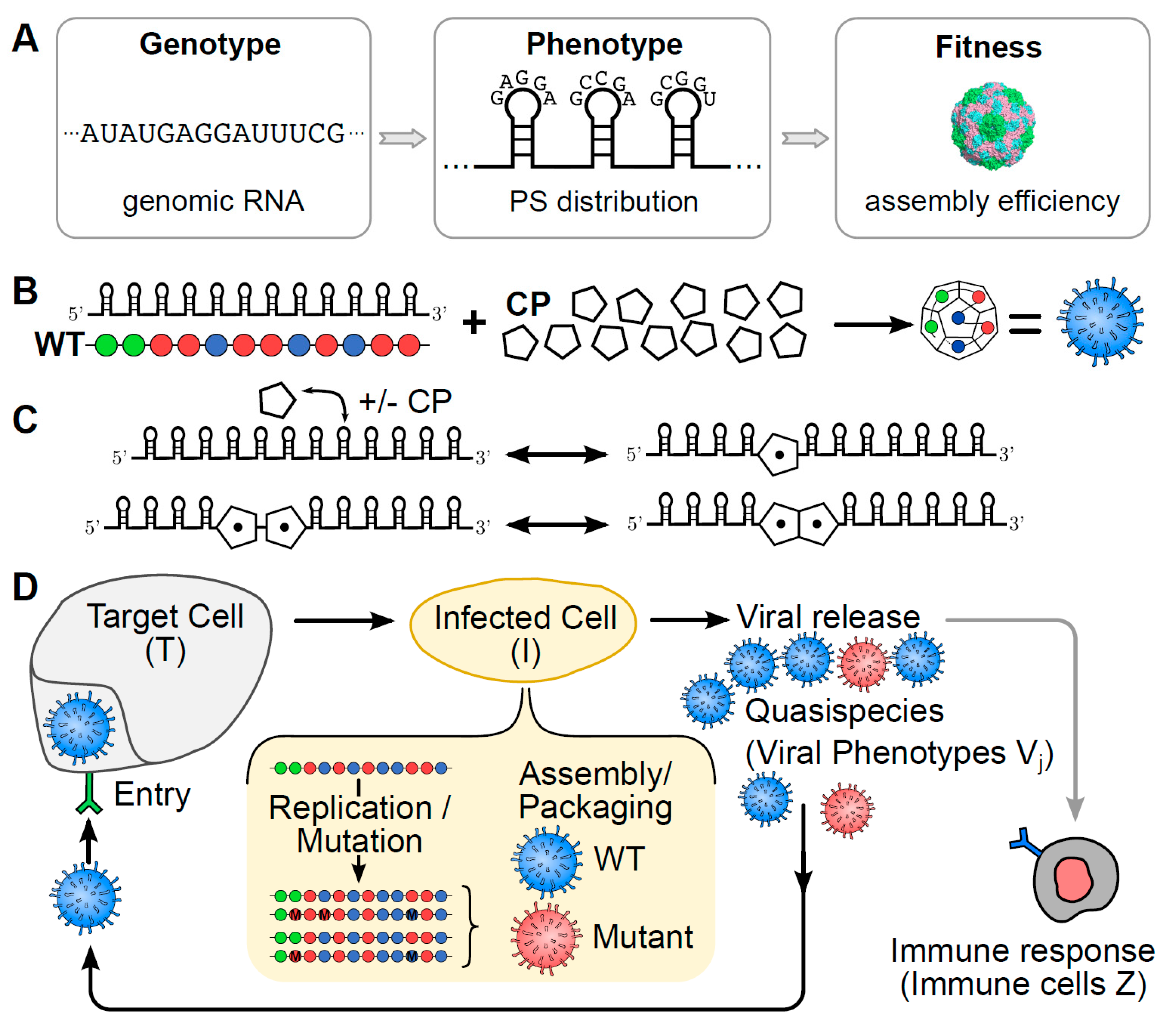 what is the evolutionary advantage of viruses