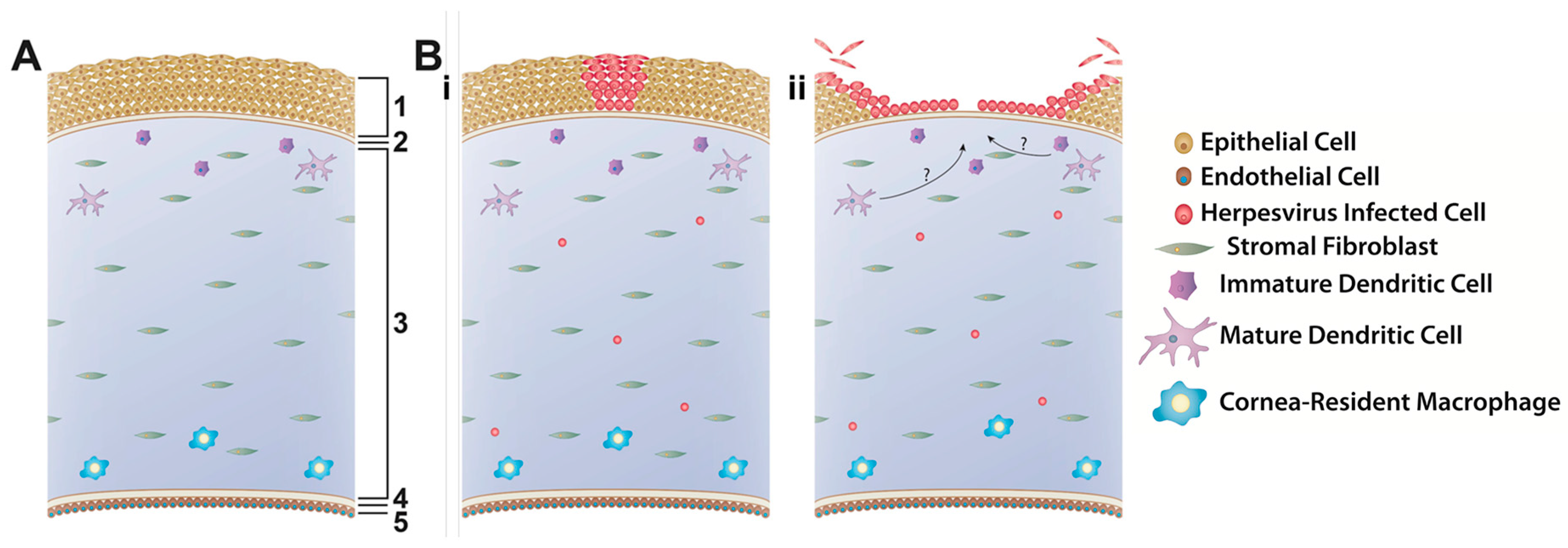 Viruses 09 00349 g002 Viruses 09 00349 g002