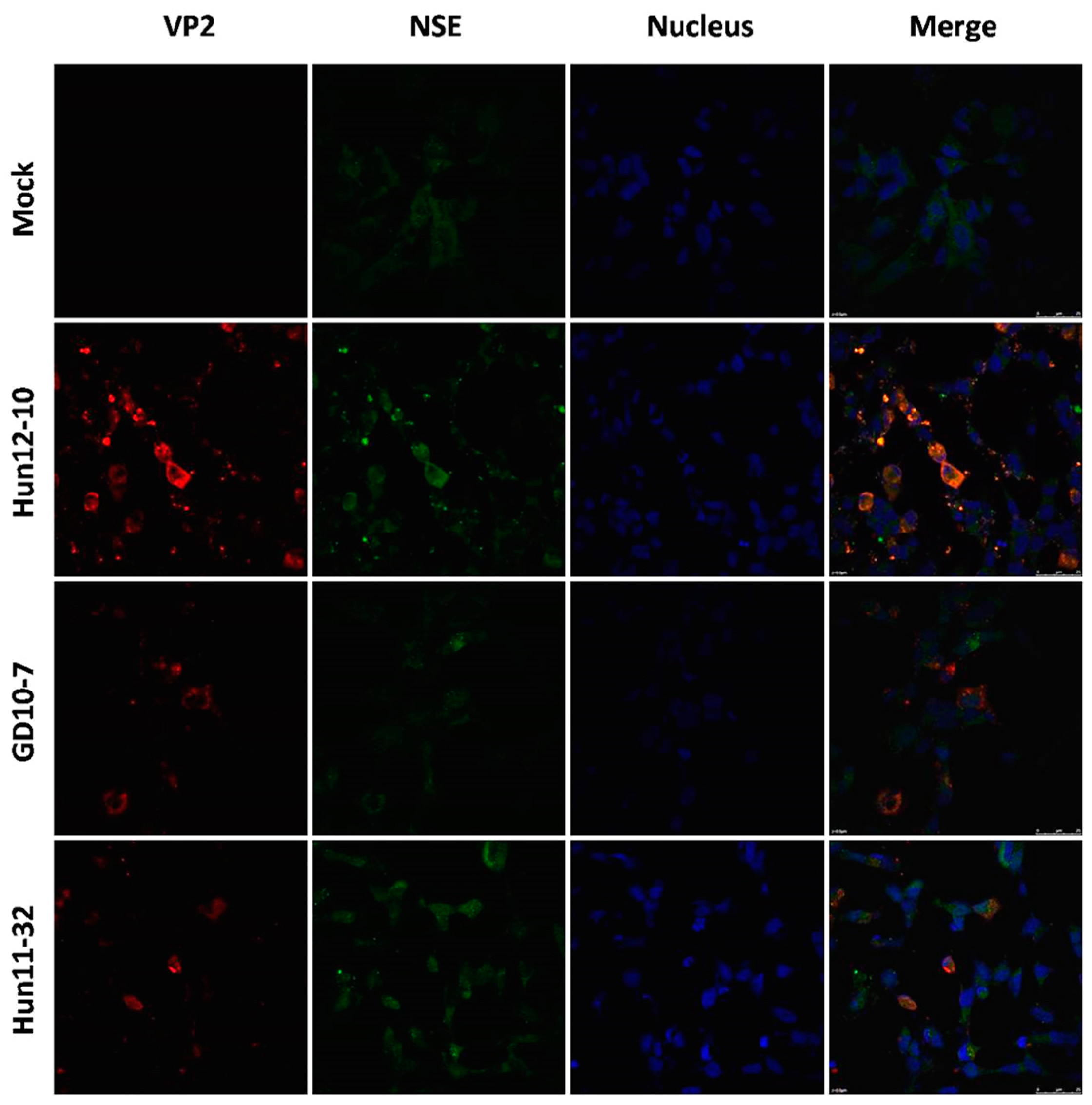 Viruses 09 00351 g002 Viruses 09 00351 g002