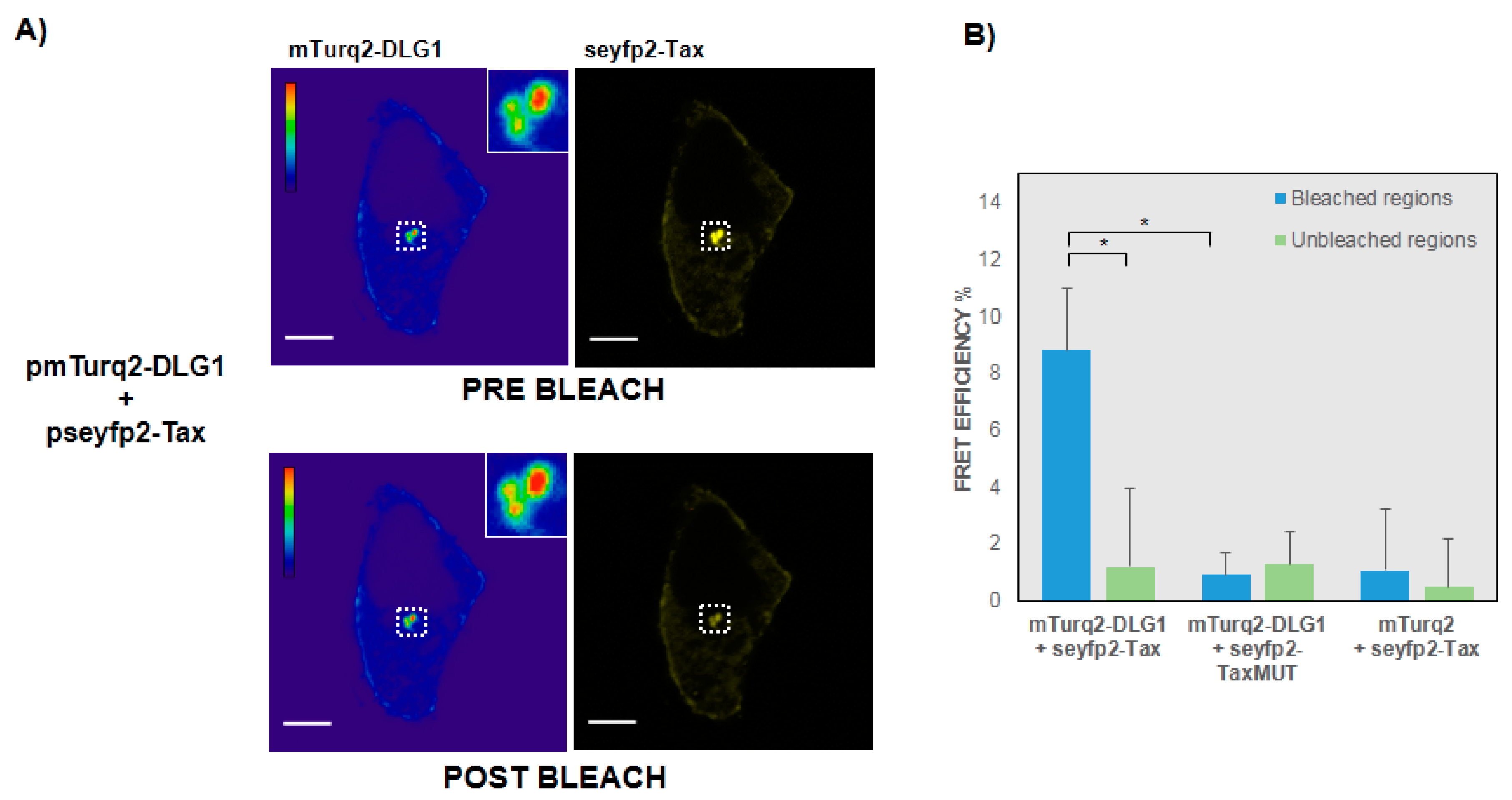 Viruses 09 00355 g003 Viruses 09 00355 g003
