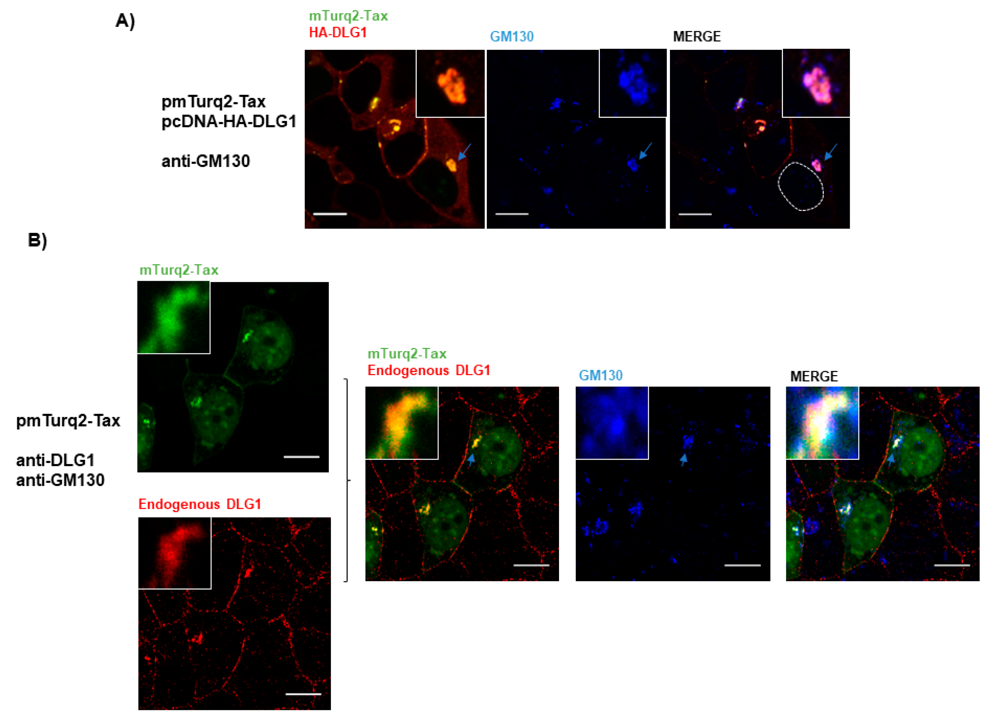 Viruses 09 00355 g005 Viruses 09 00355 g005