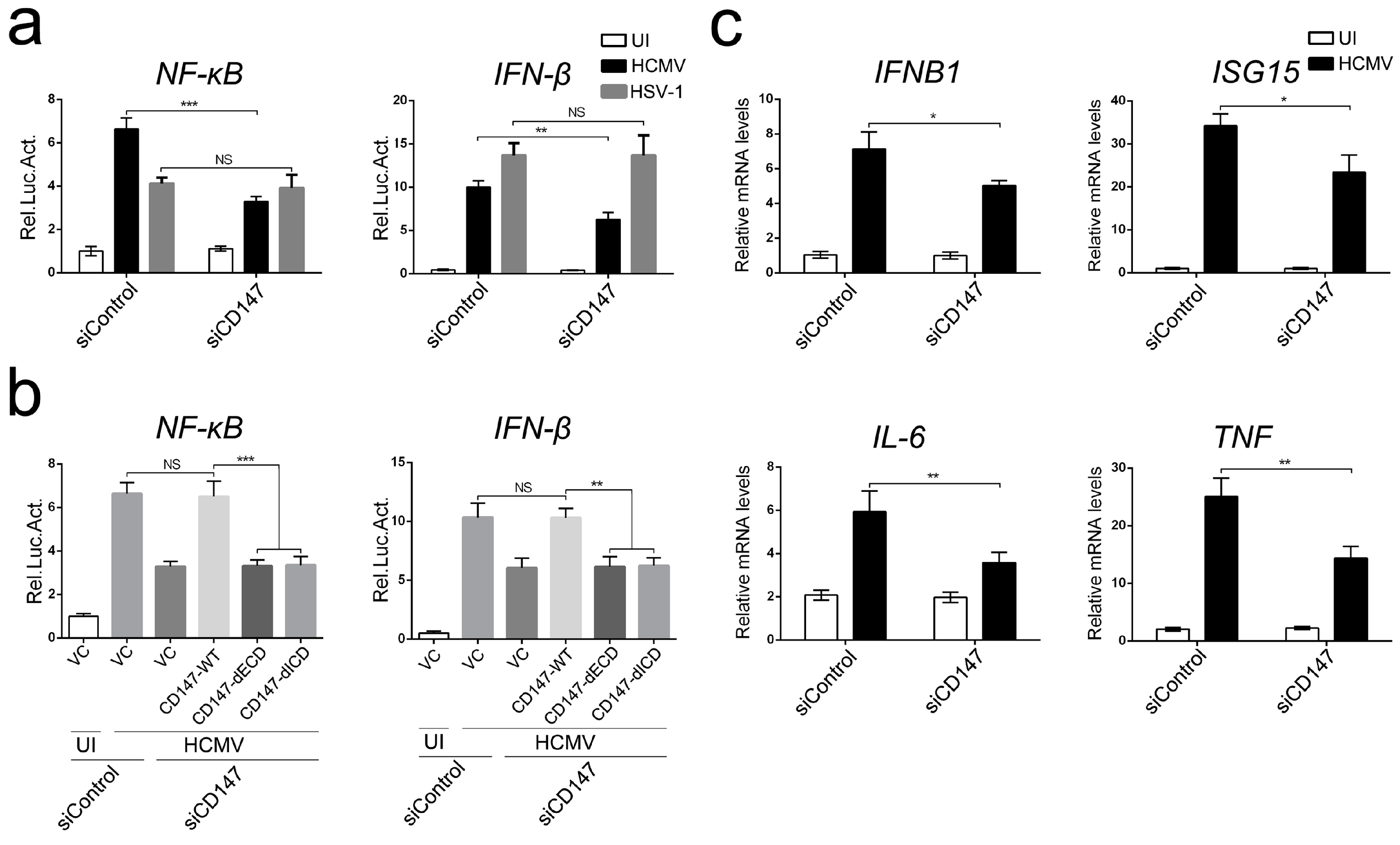 Viruses 09 00365 g001