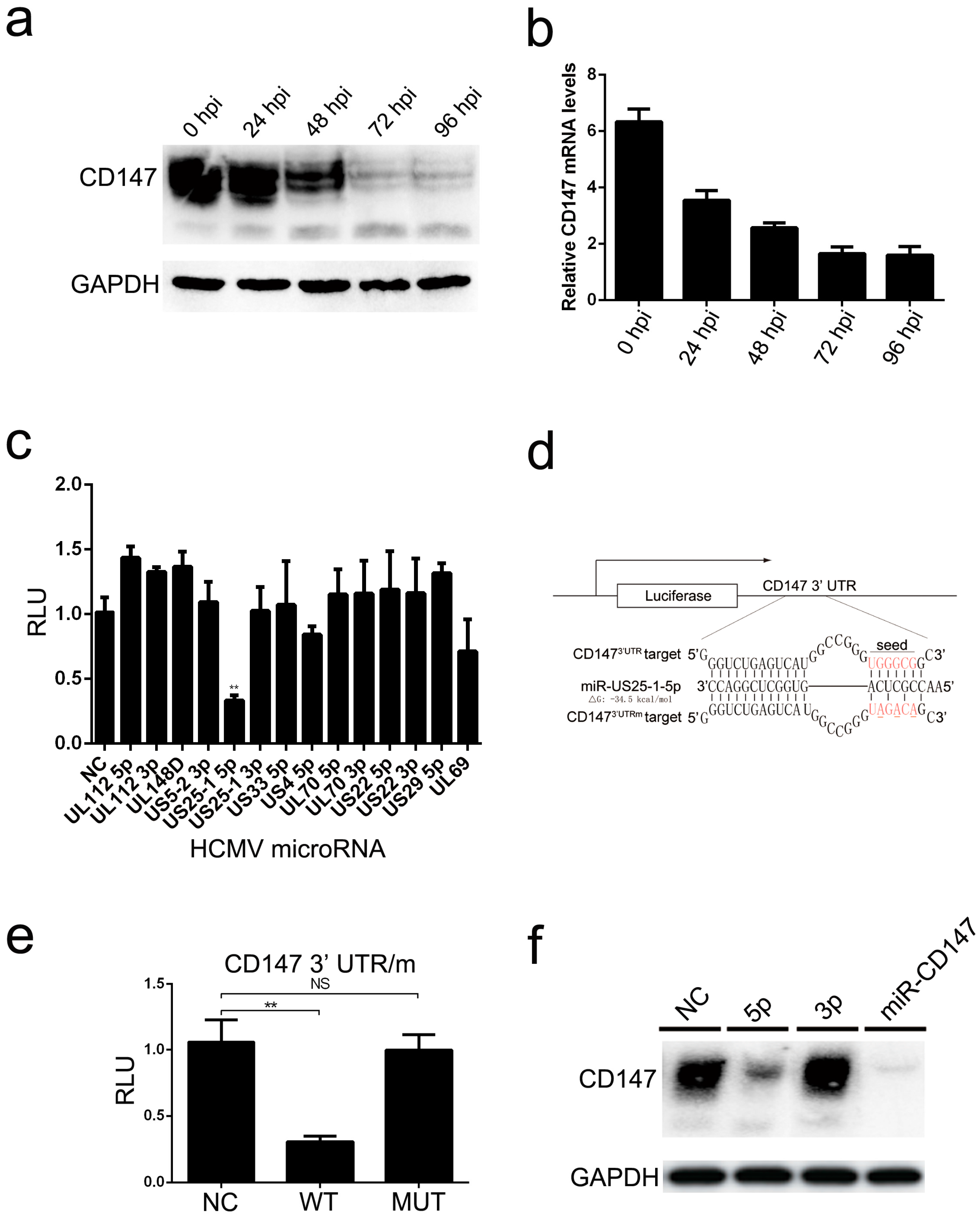 Viruses 09 00365 g003