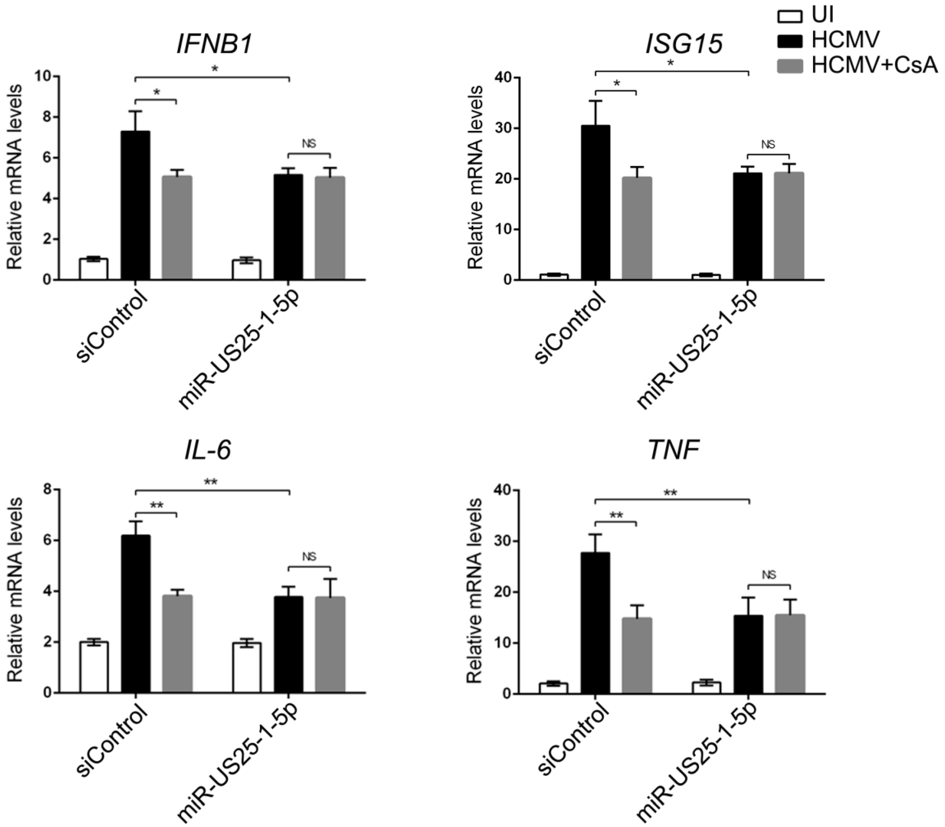 Viruses 09 00365 g004