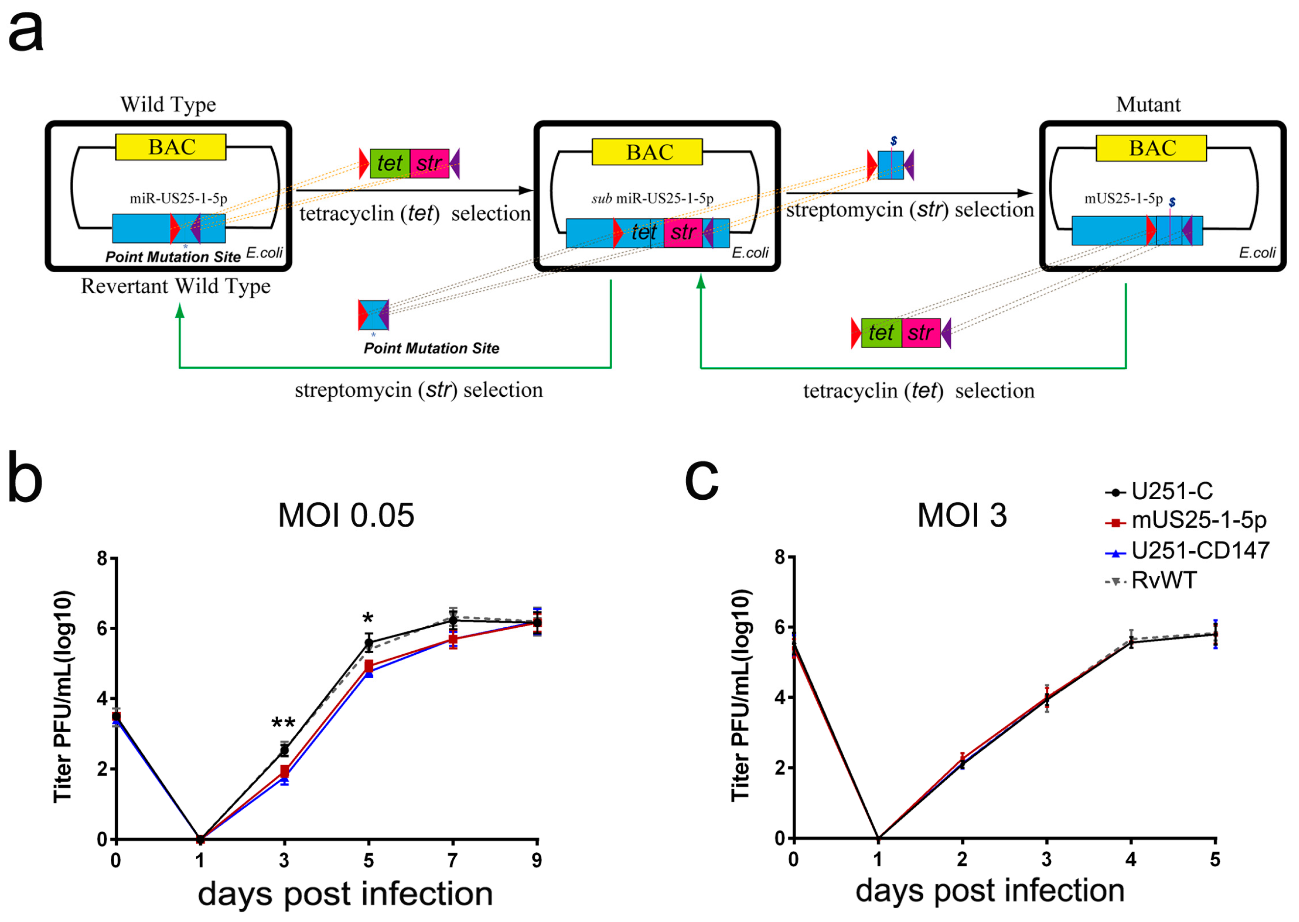 Viruses 09 00365 g005