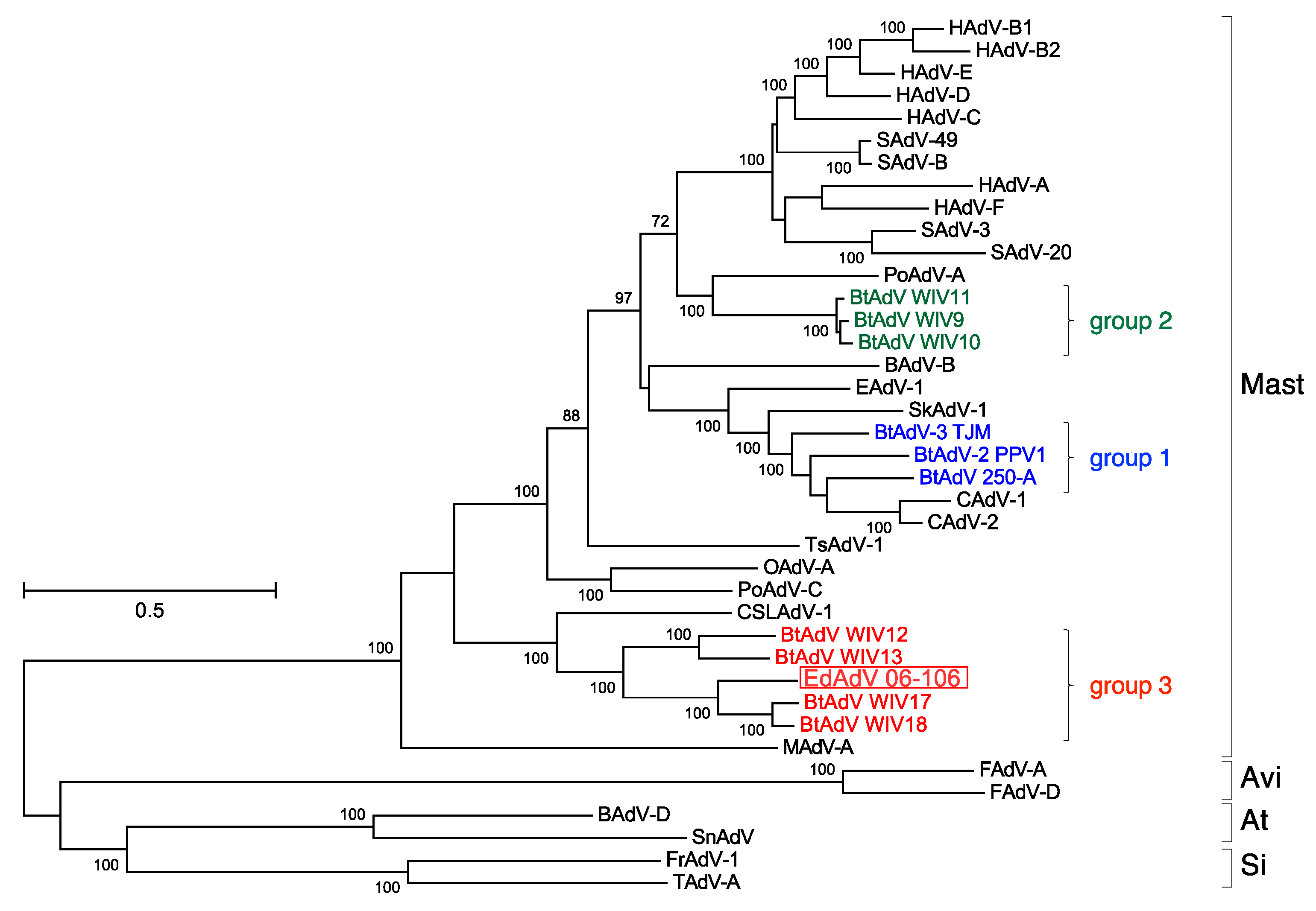 Viruses 09 00371 g003 Viruses 09 00371 g003