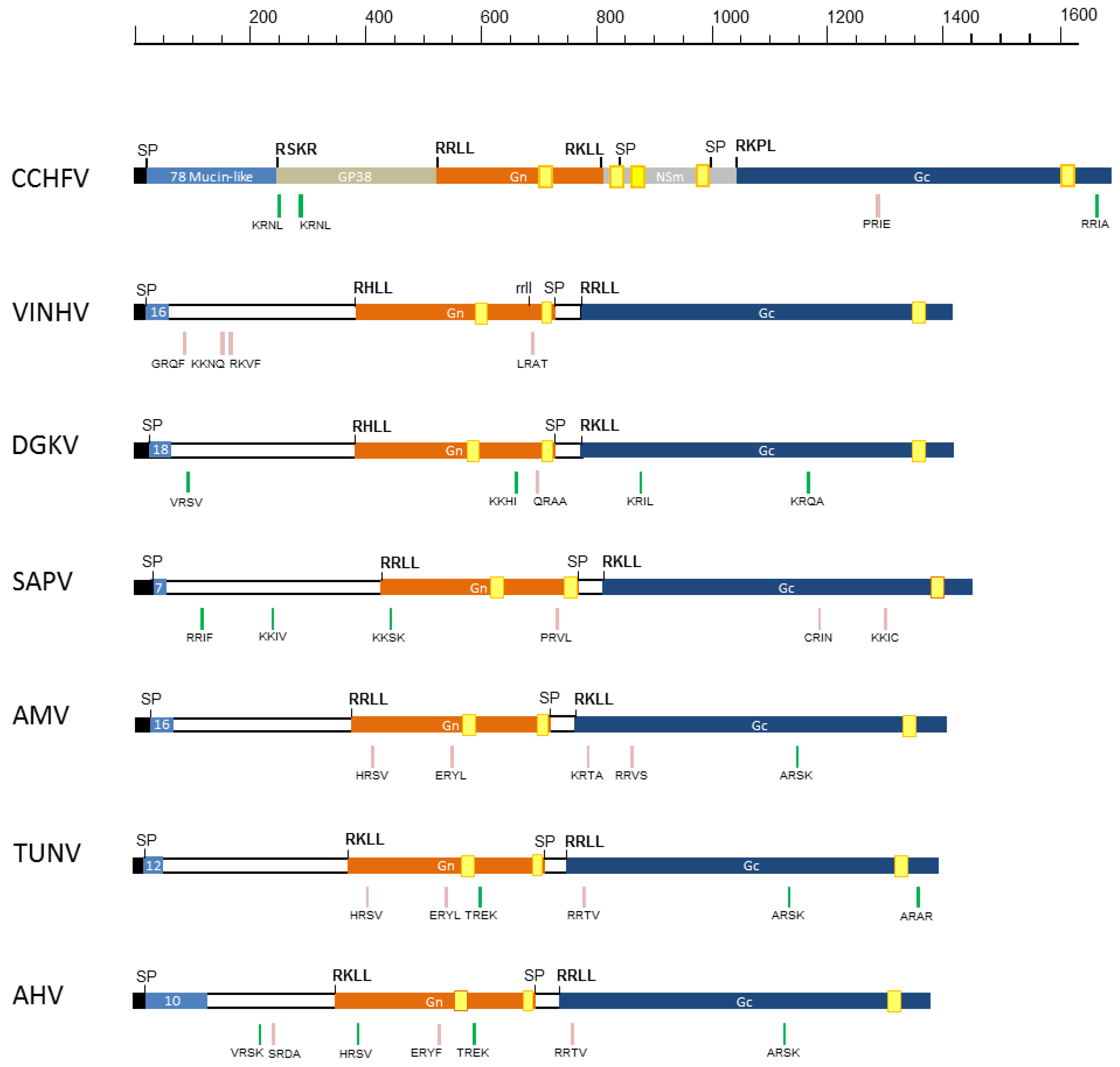 Viruses 09 00373 g003