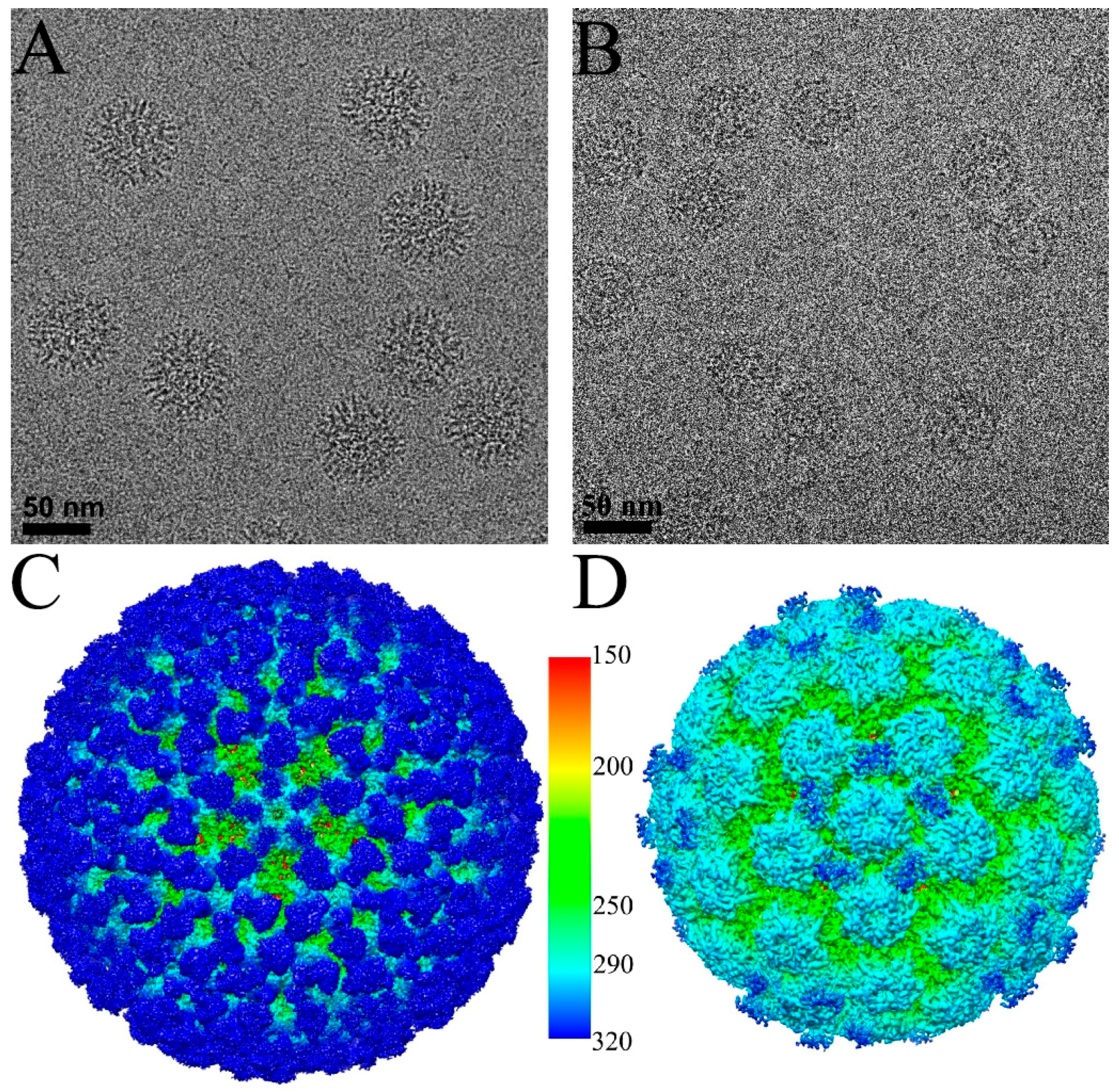 Viruses 09 00374 g001a 550