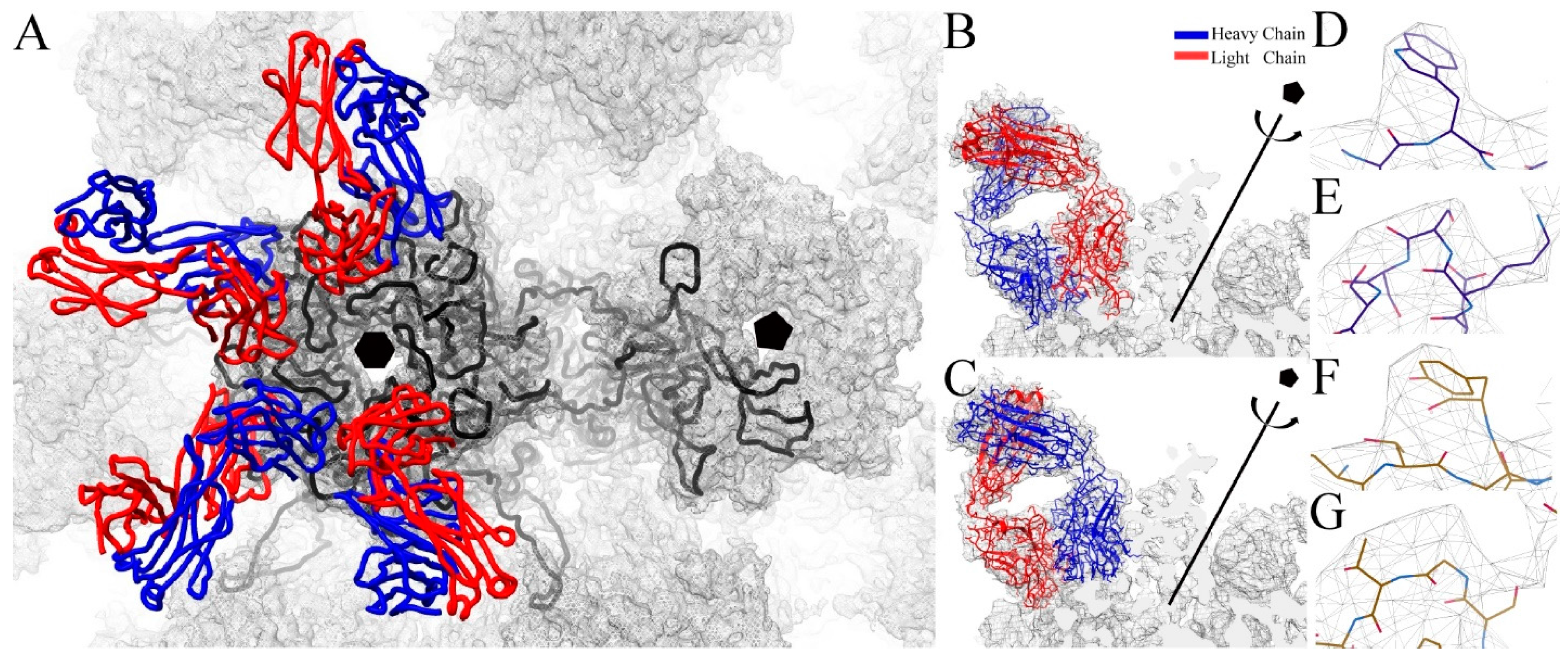 Viruses 09 00374 g003 550