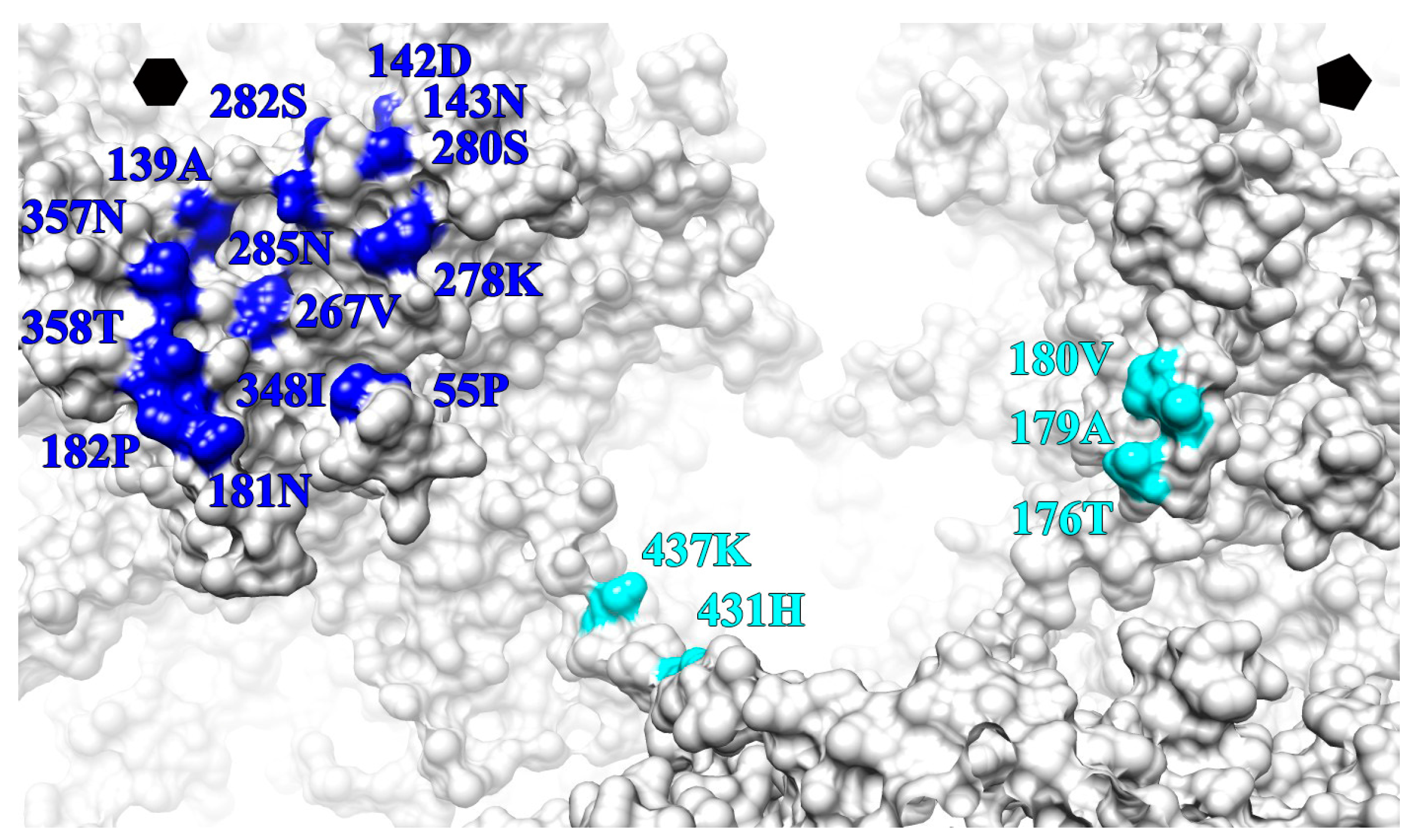 Viruses 09 00374 g008 550