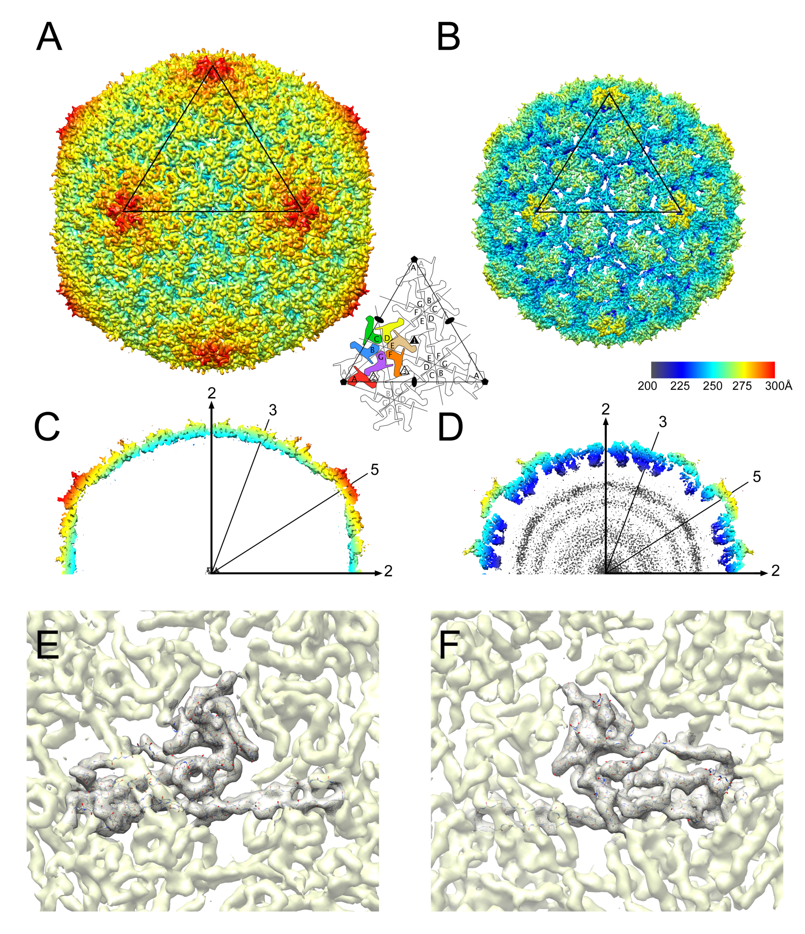 Viruses 09 00384 g005