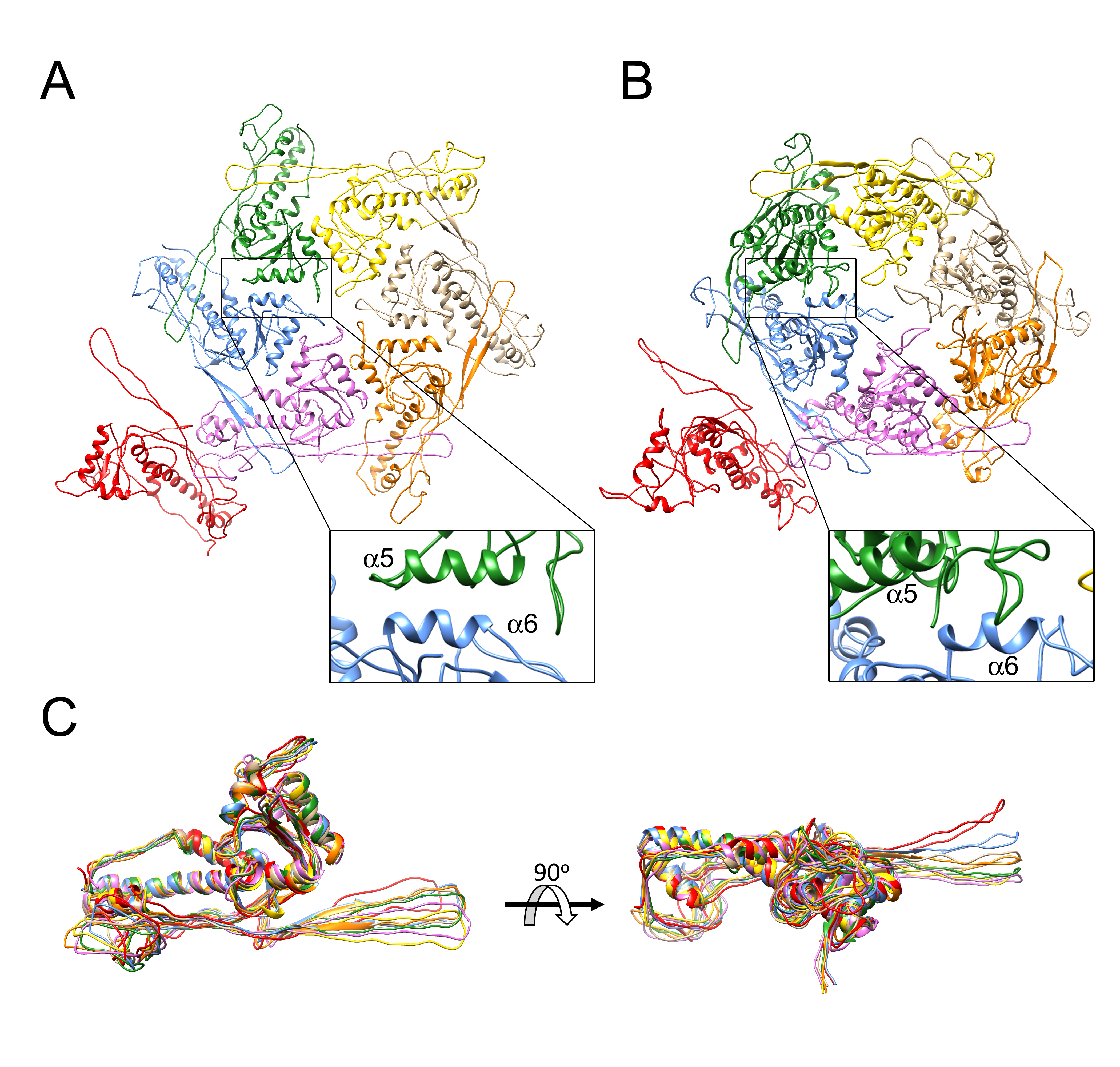 Viruses 09 00384 g007