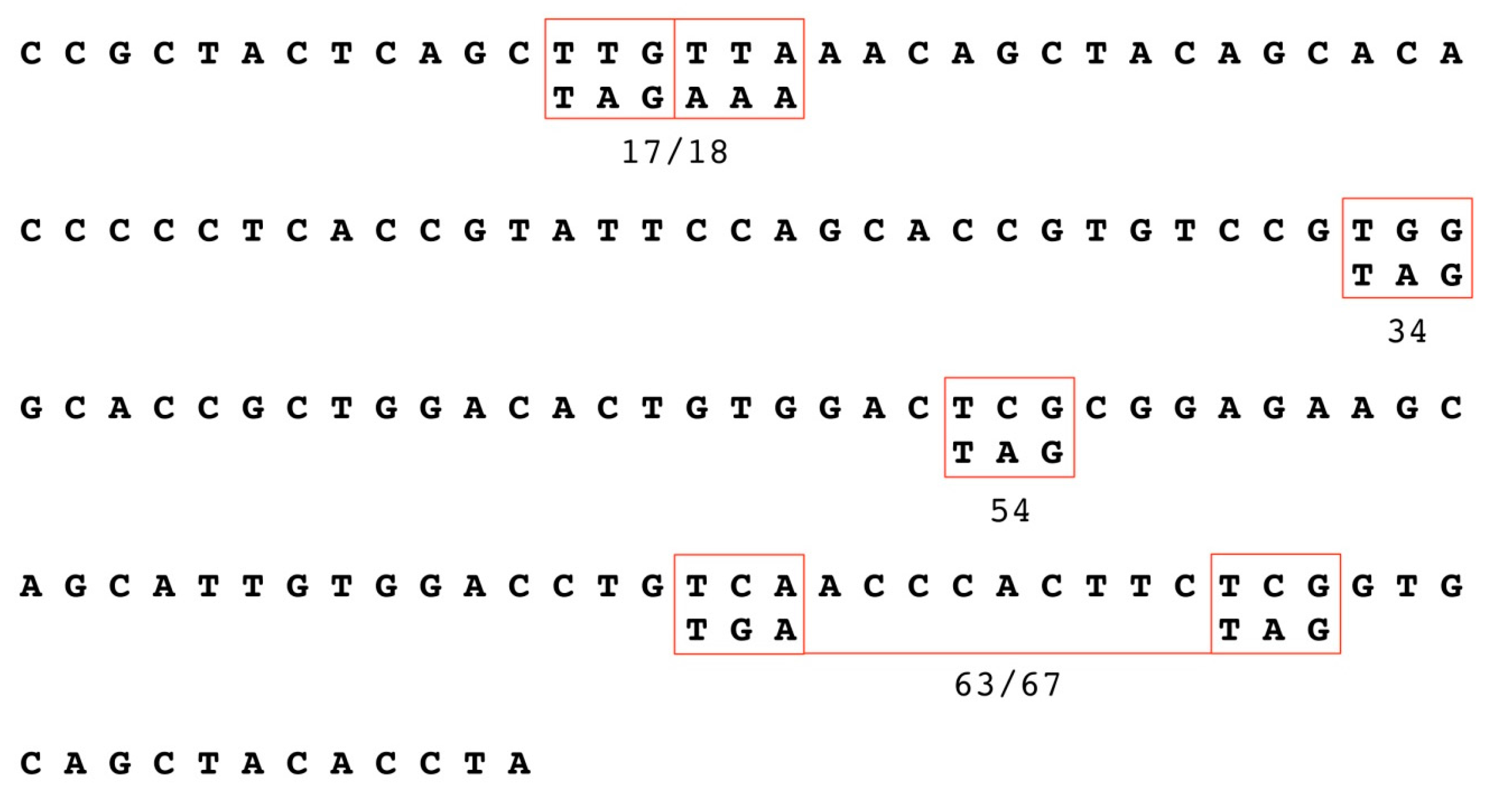Viruses 09 00385 g001