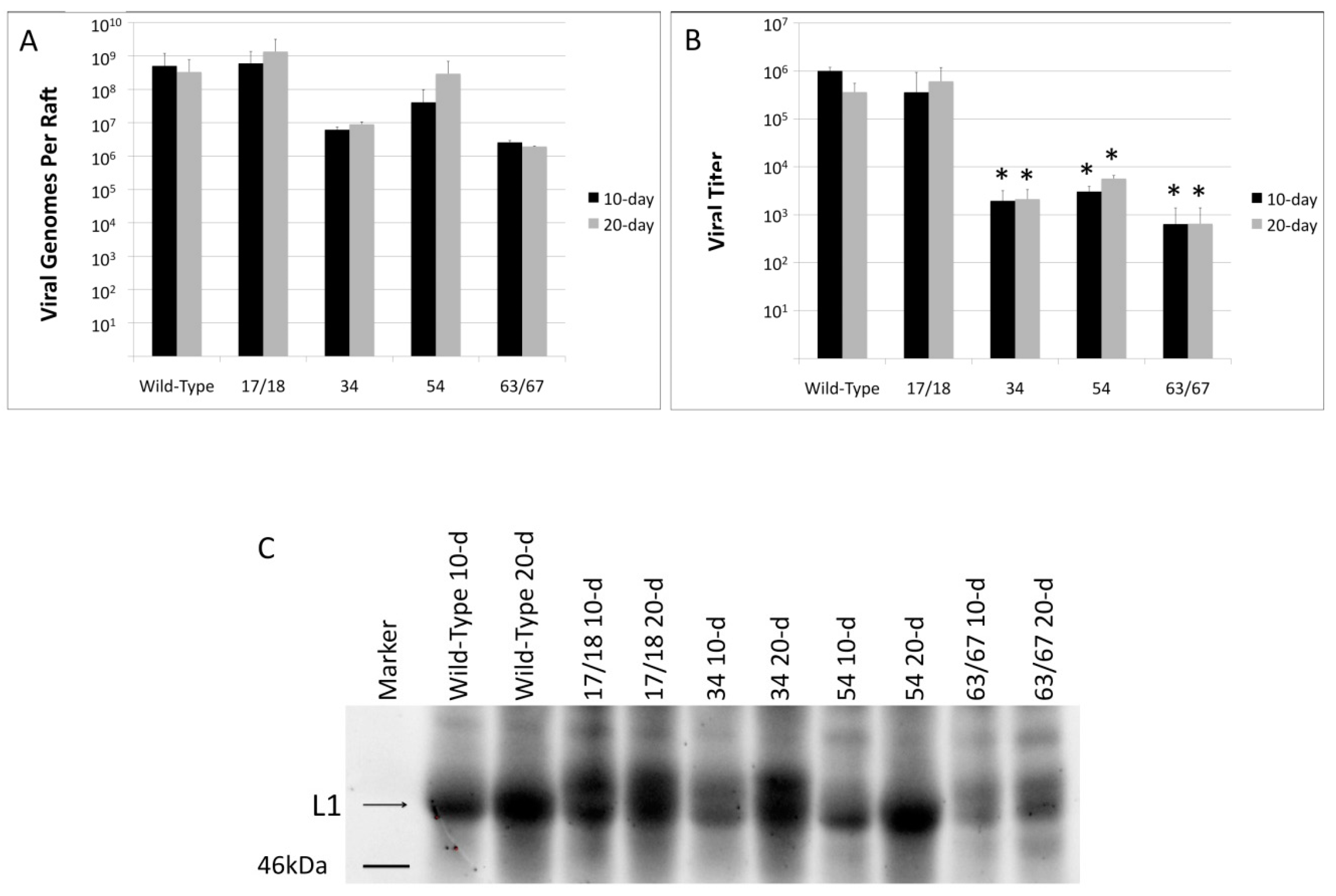 Viruses 09 00385 g003a