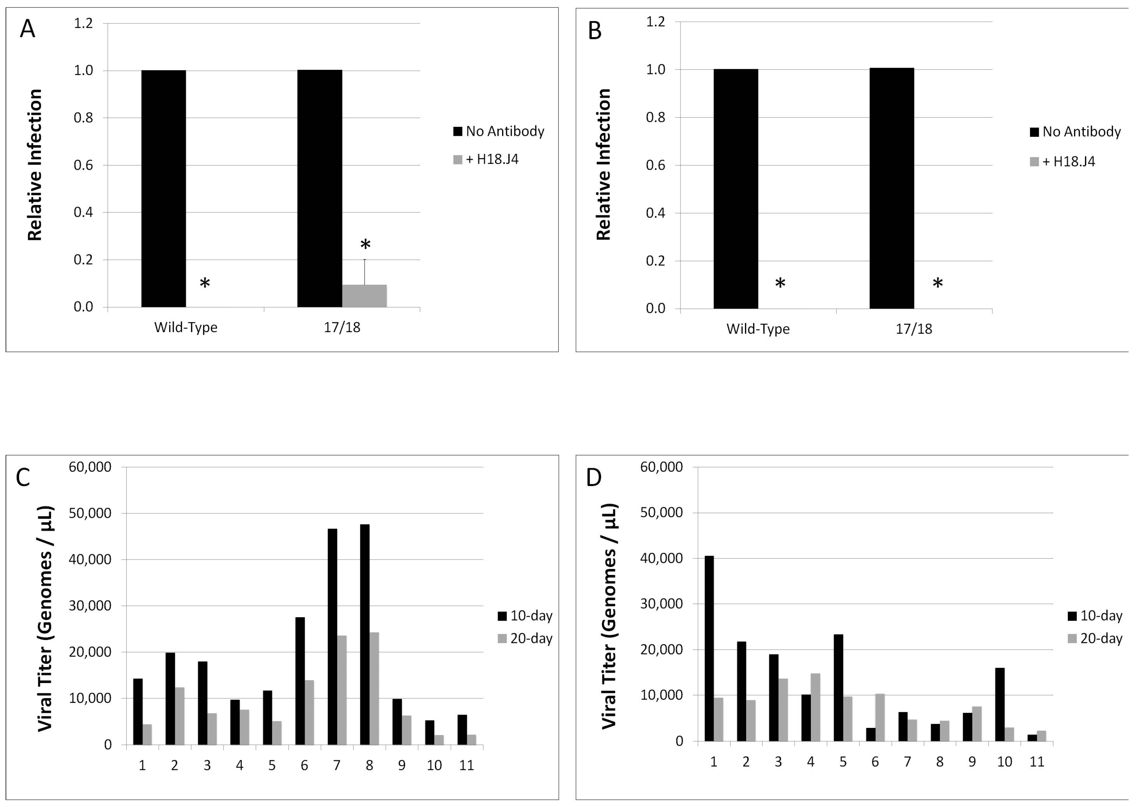 Viruses 09 00385 g005