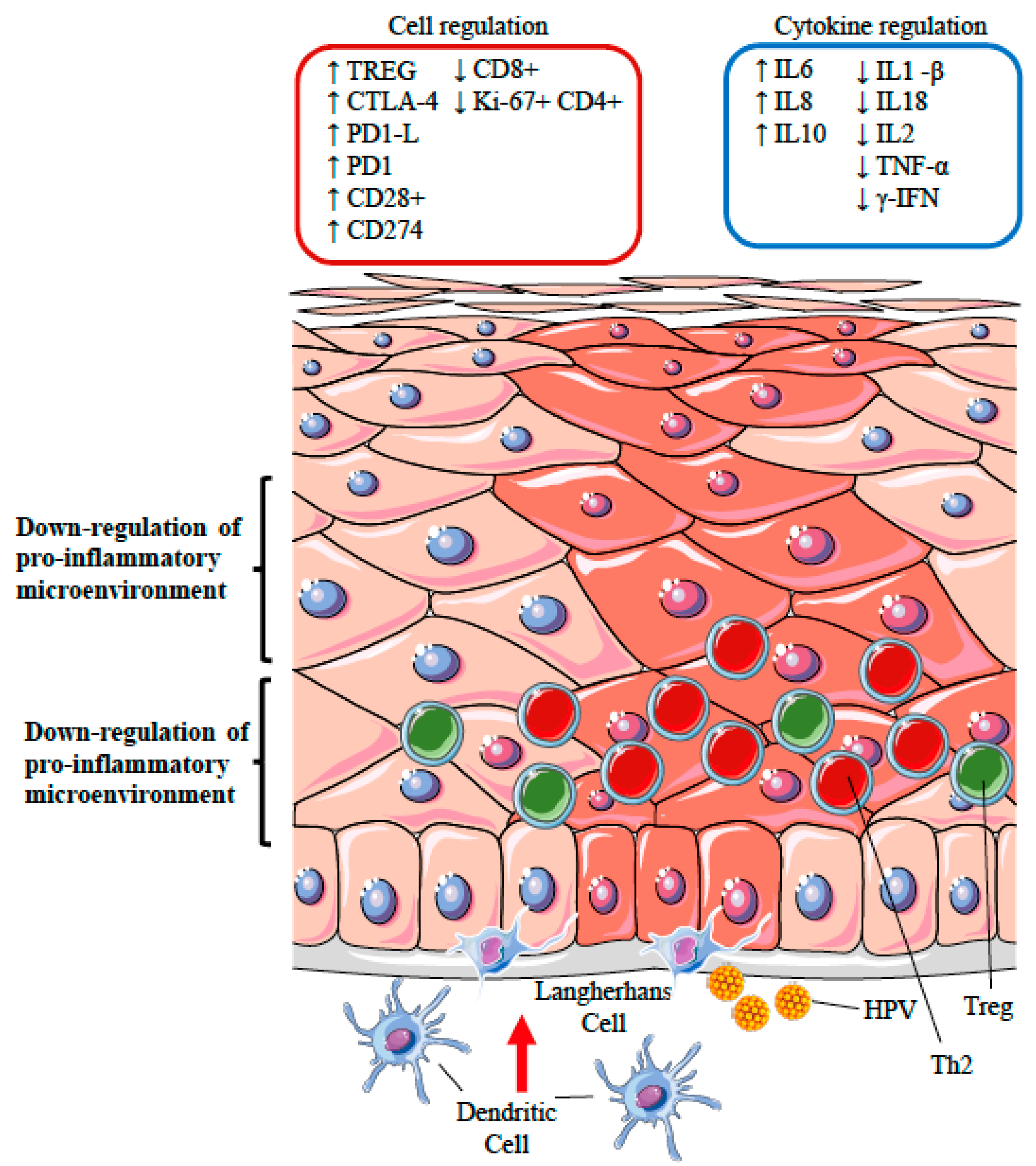 is hpv a virus or infection