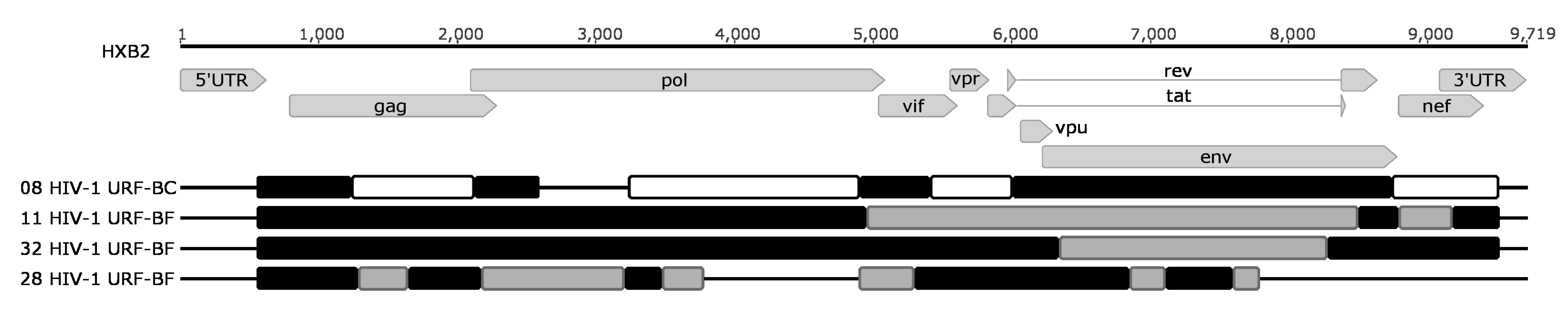 Viruses 09 00392 g002
