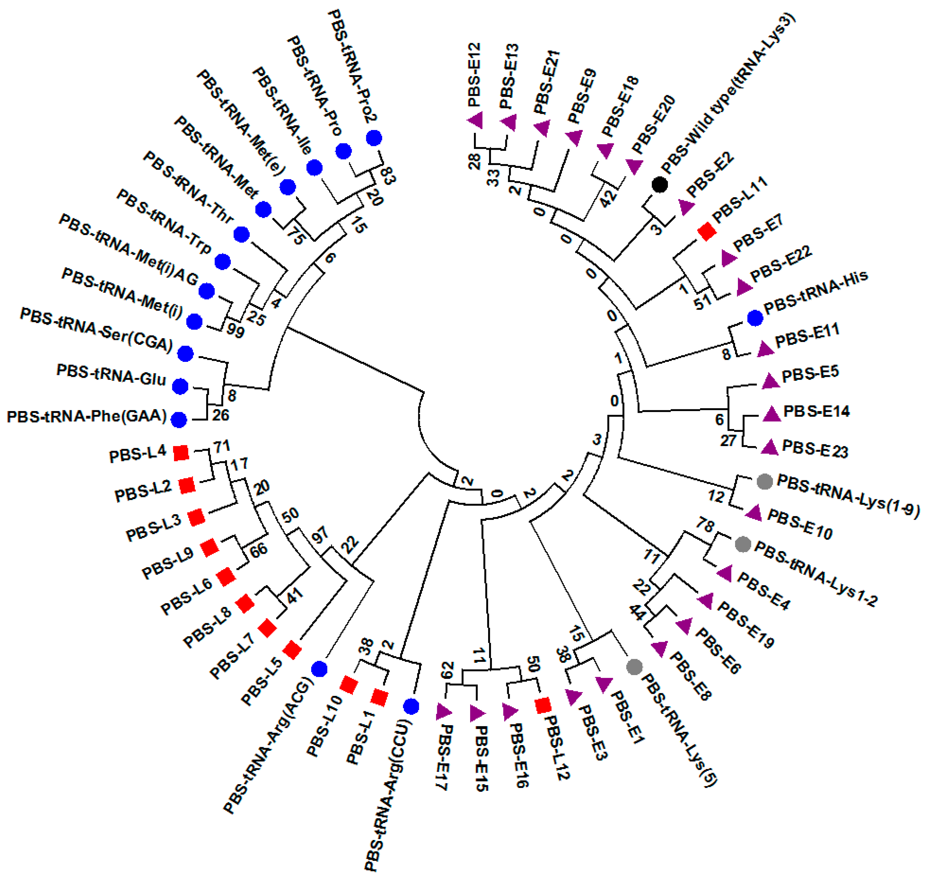Viruses 10 00004 g011
