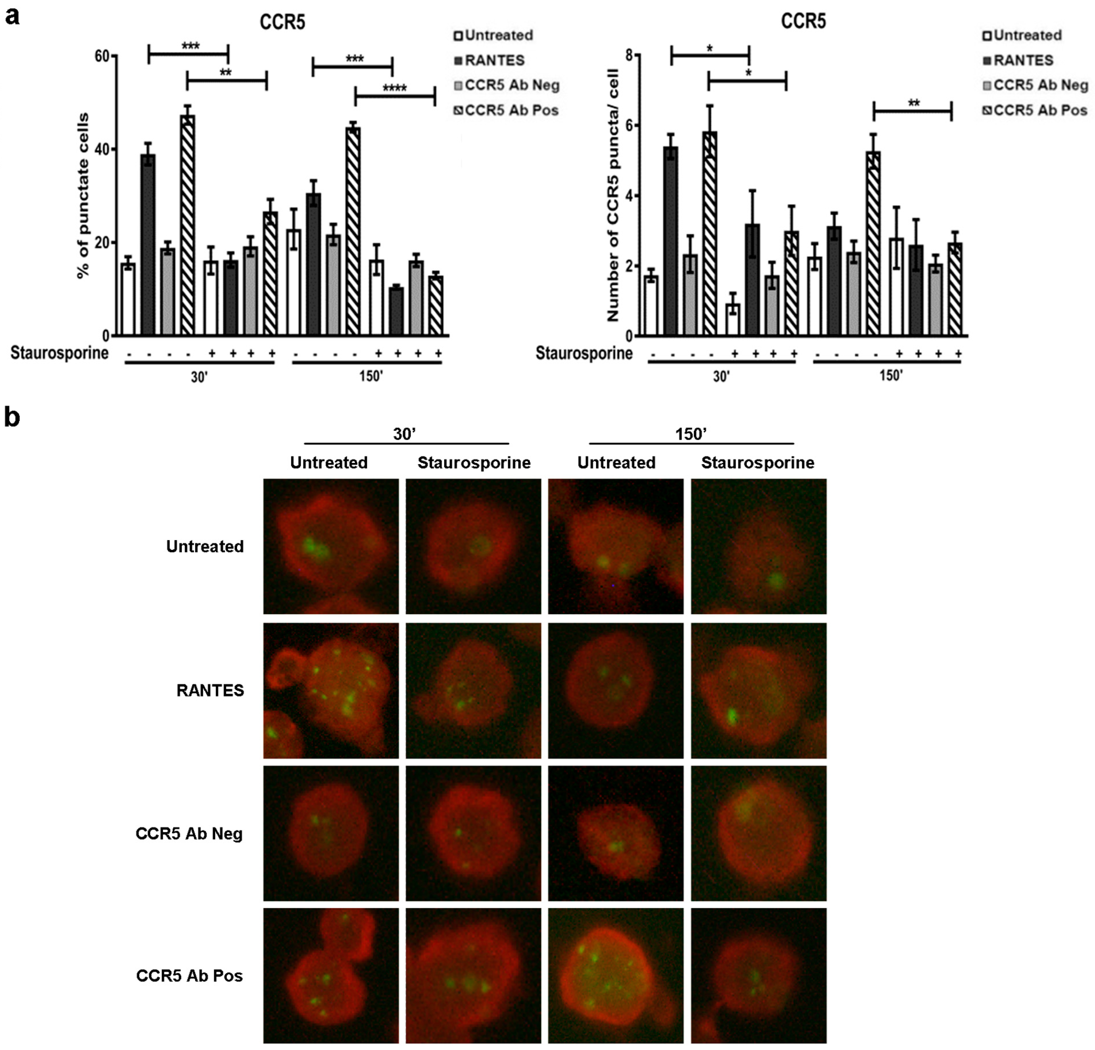 Viruses 10 00009 g001
