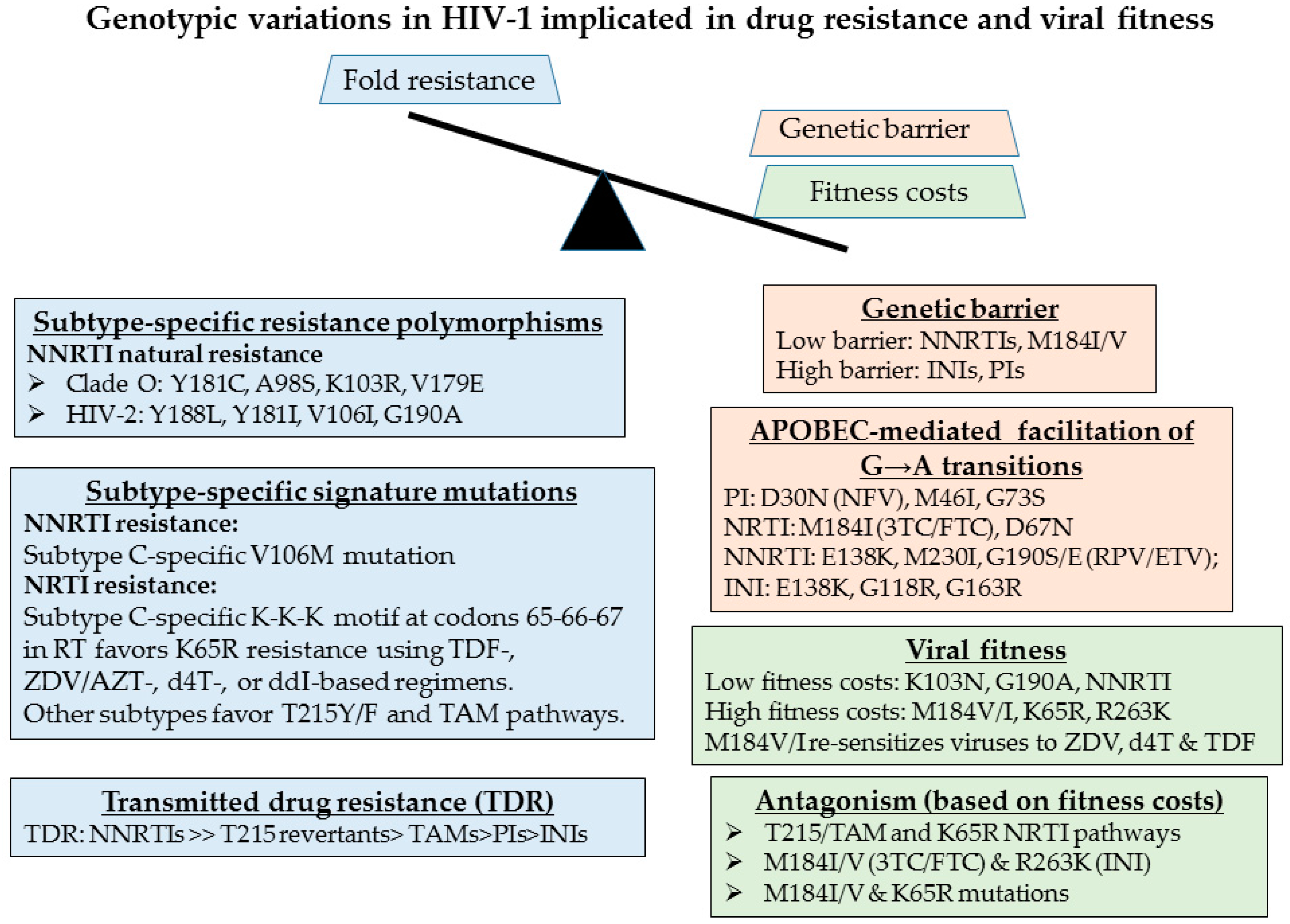 Viruses 10 00010 g003