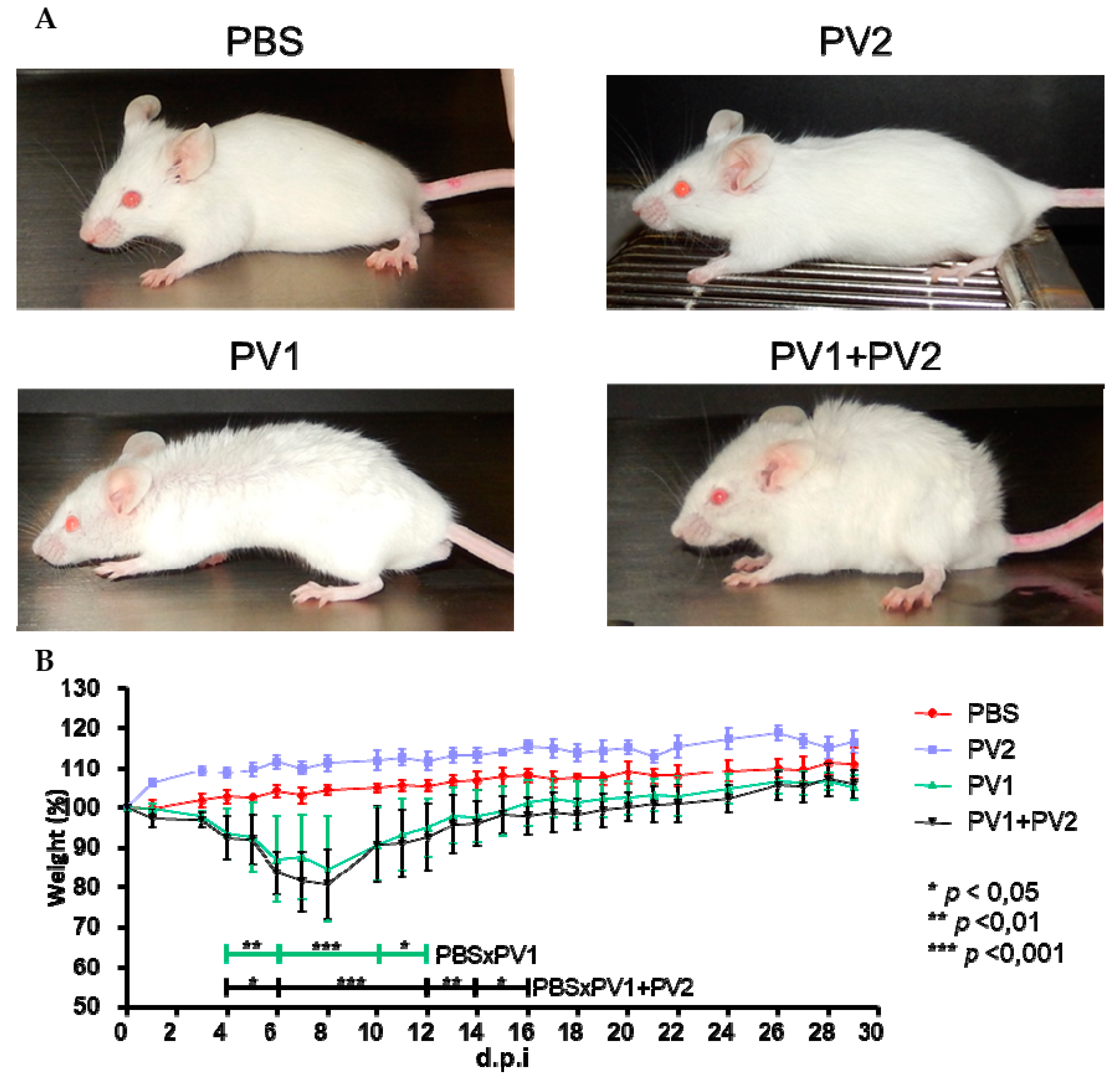Viruses 10 00015 g003 550