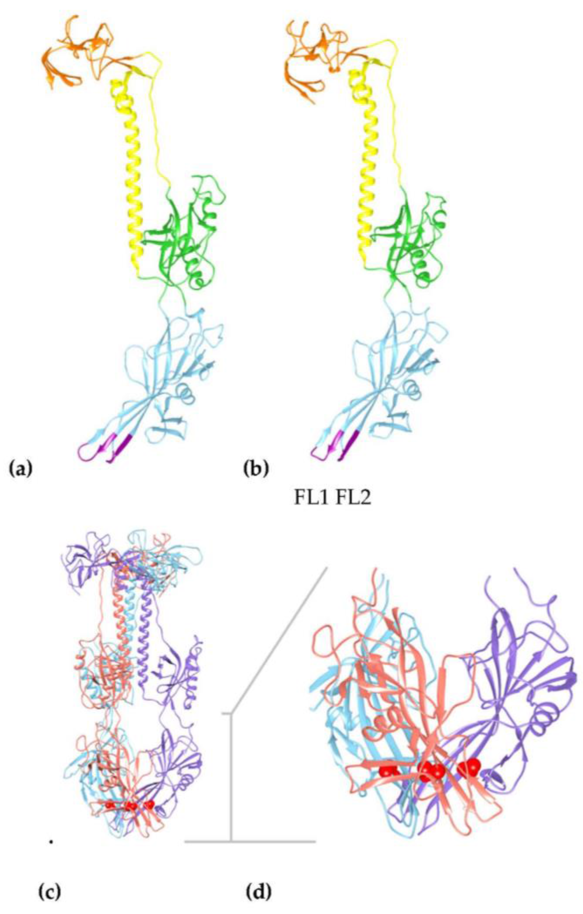 Viruses 10 00016 g003 550