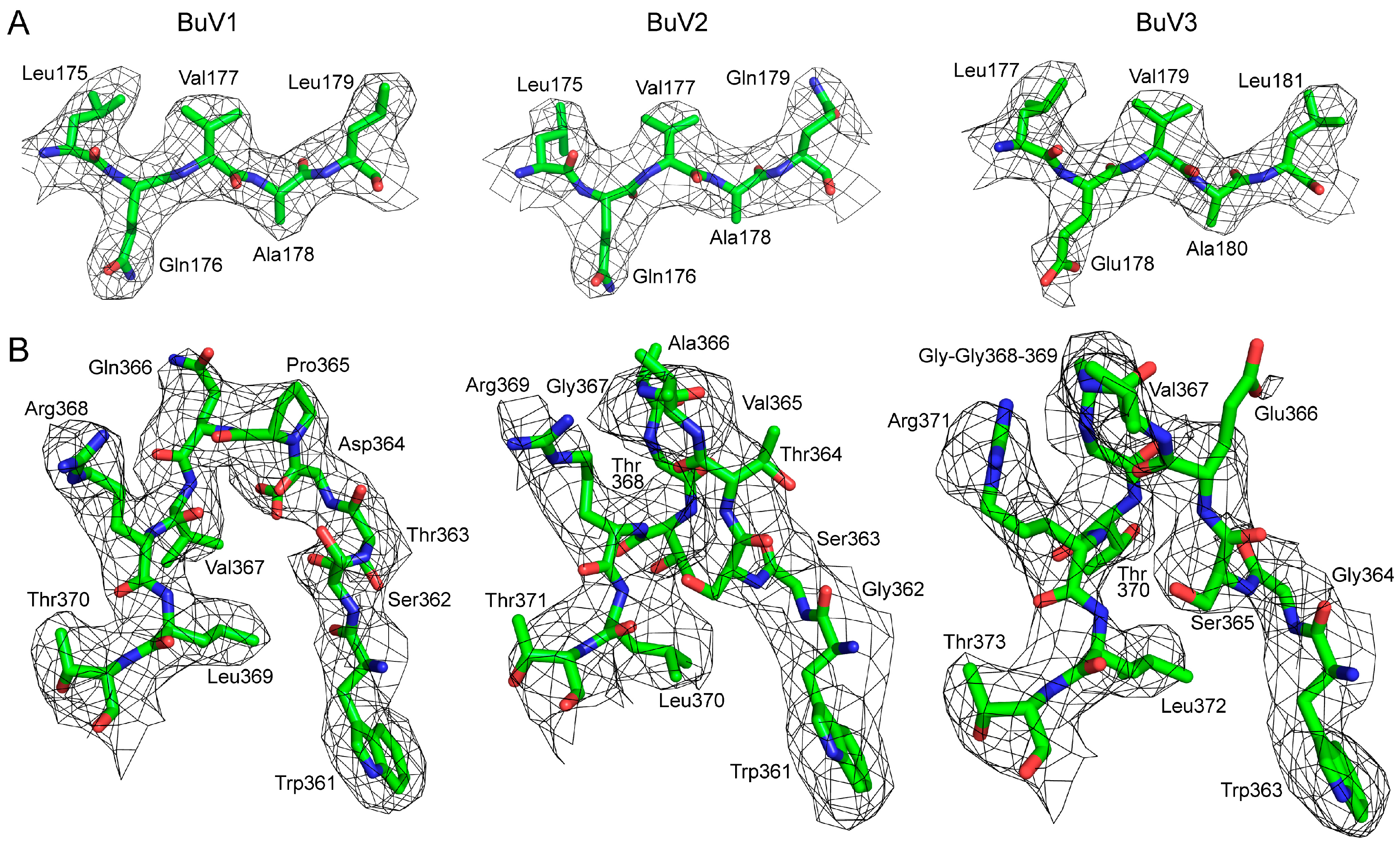 Viruses 10 00022 g002