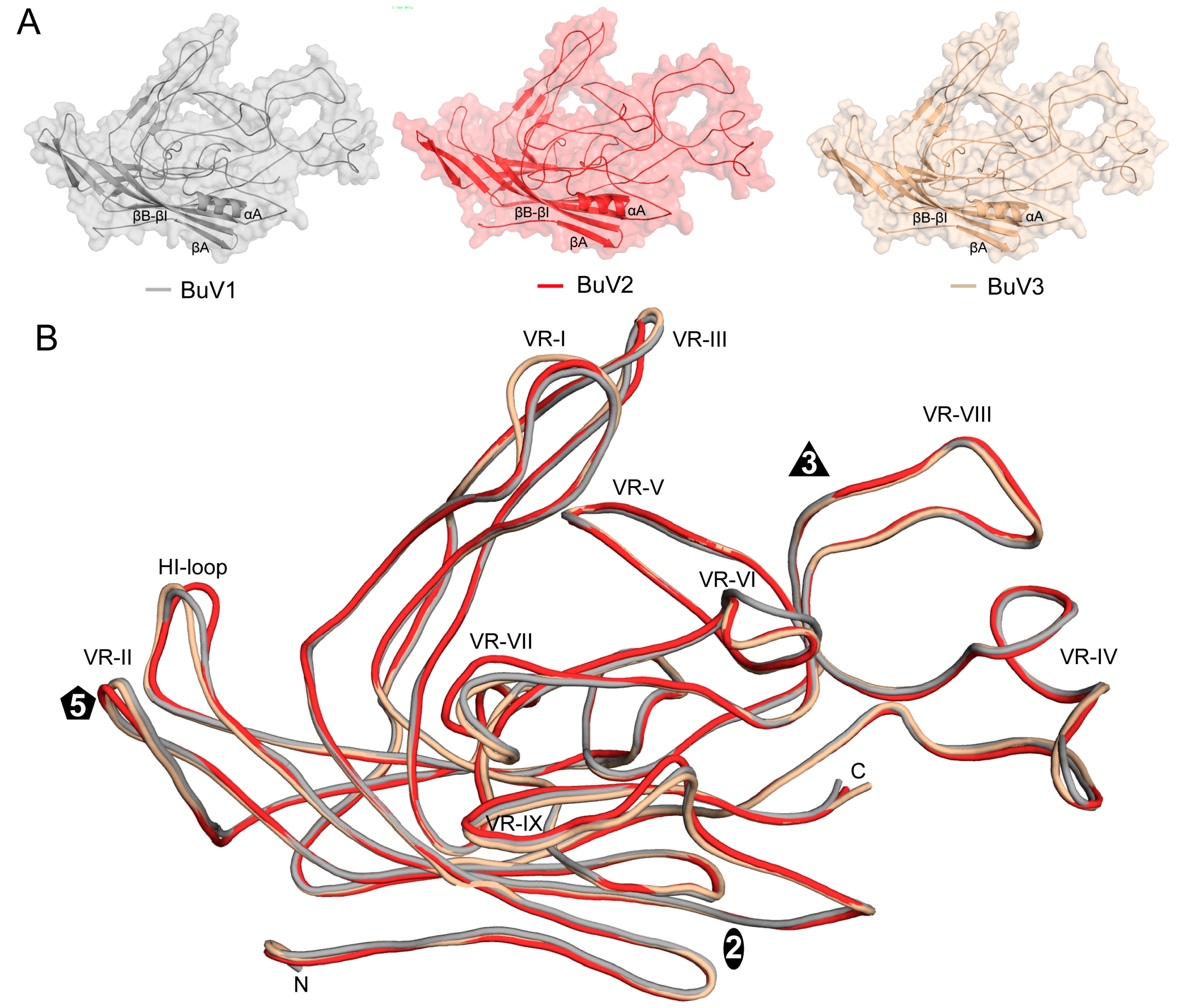 Viruses 10 00022 g003