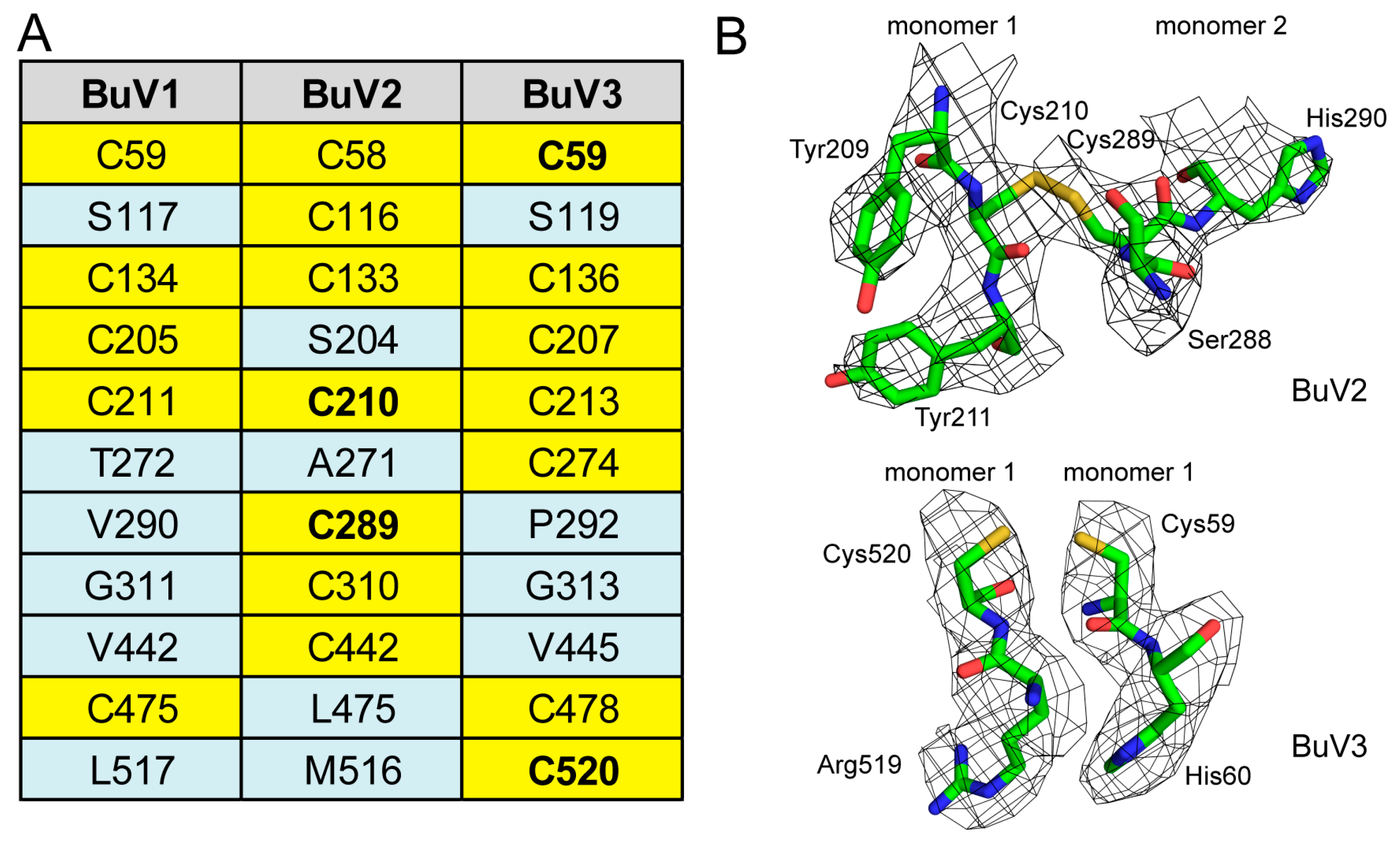 Viruses 10 00022 g005