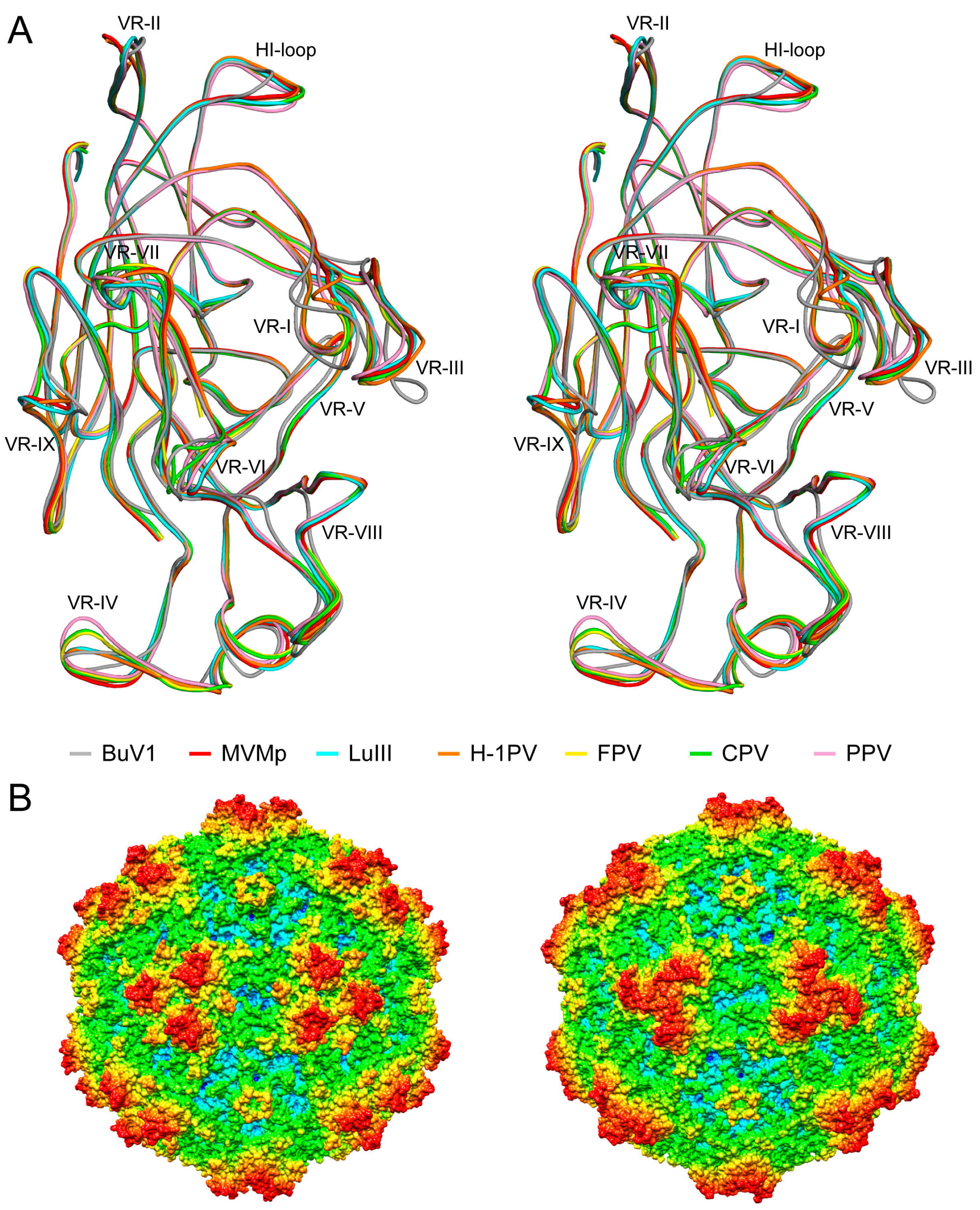 Viruses 10 00022 g006