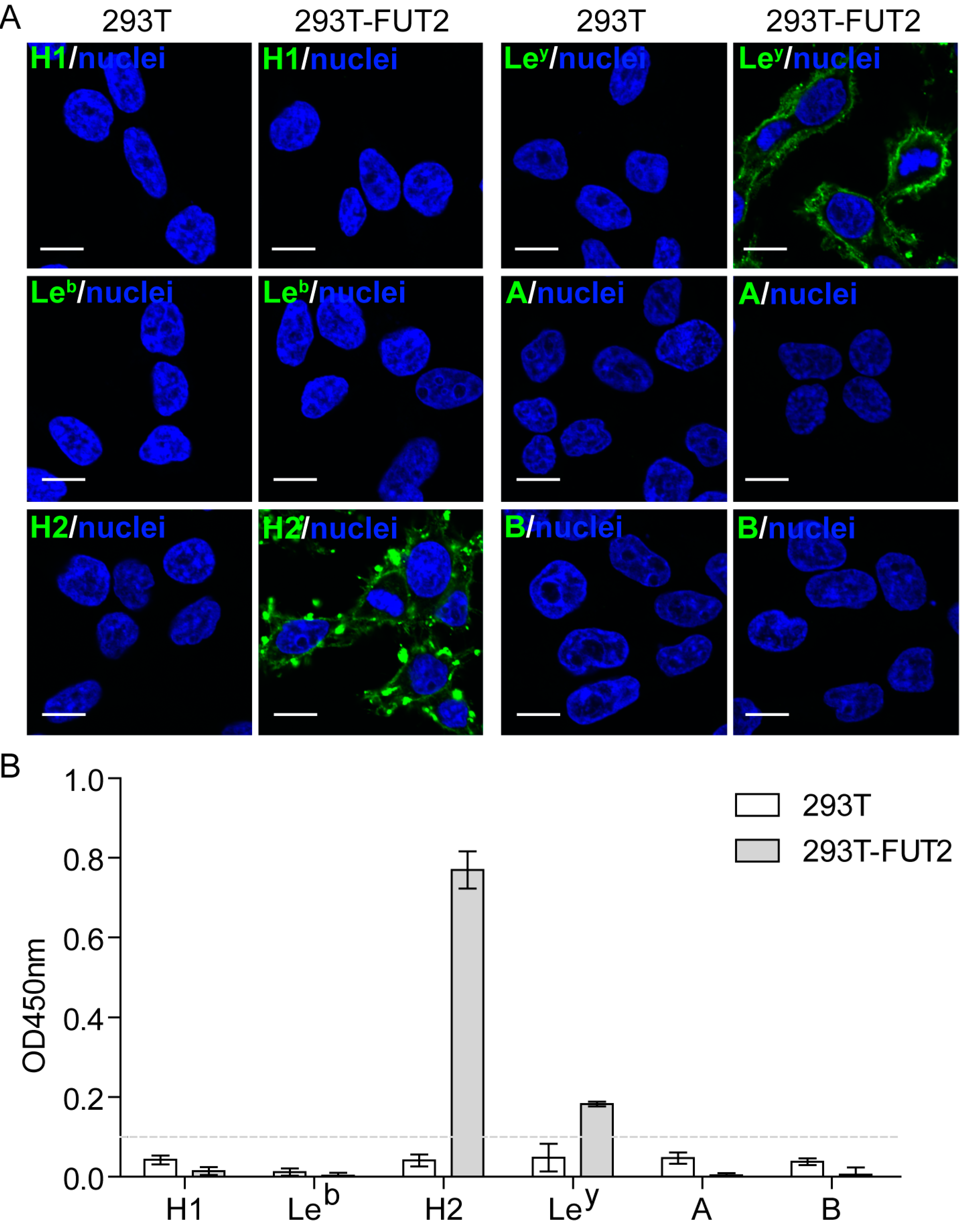 Viruses 10 00027 g002