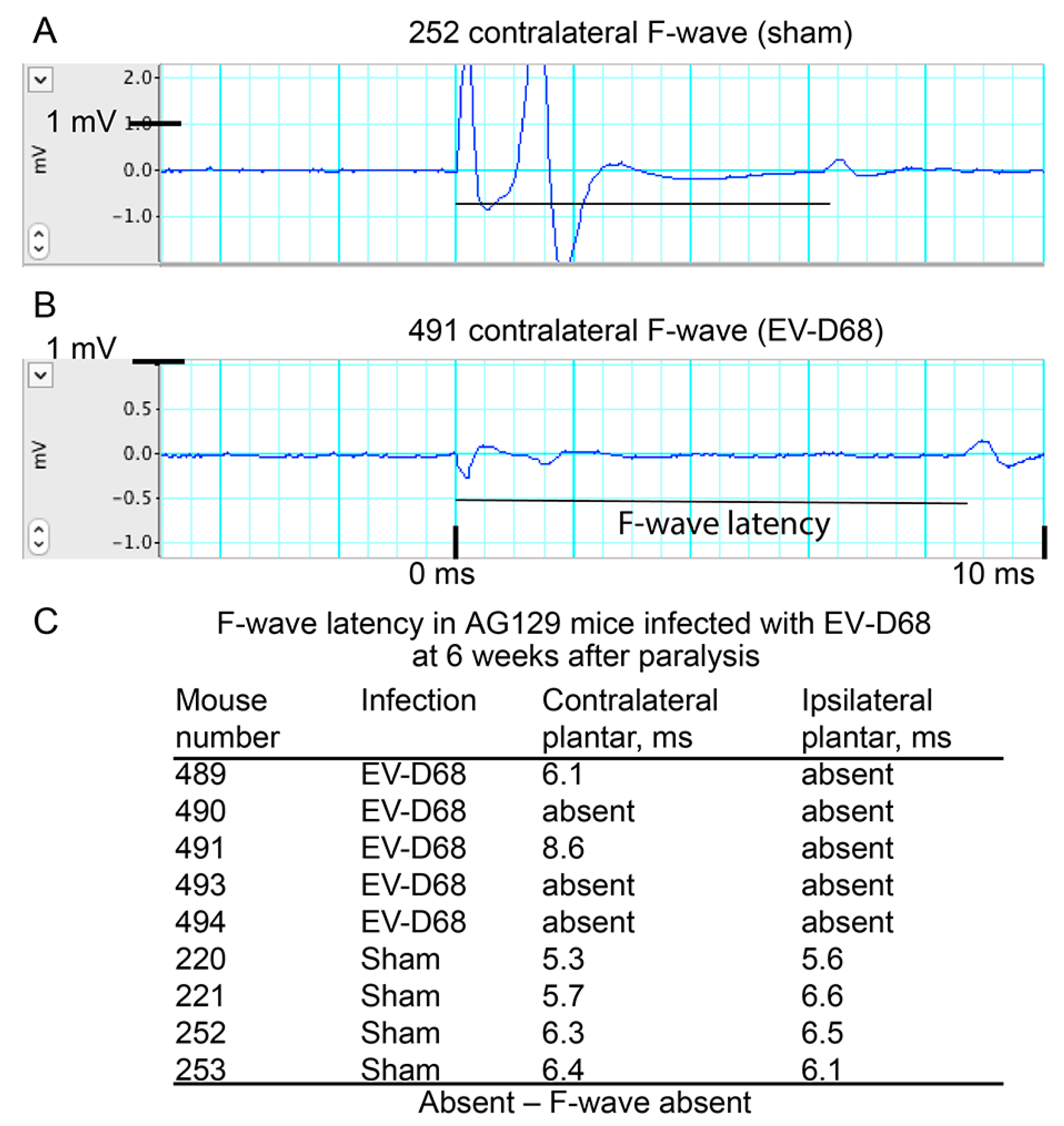 Viruses 10 00033 g004
