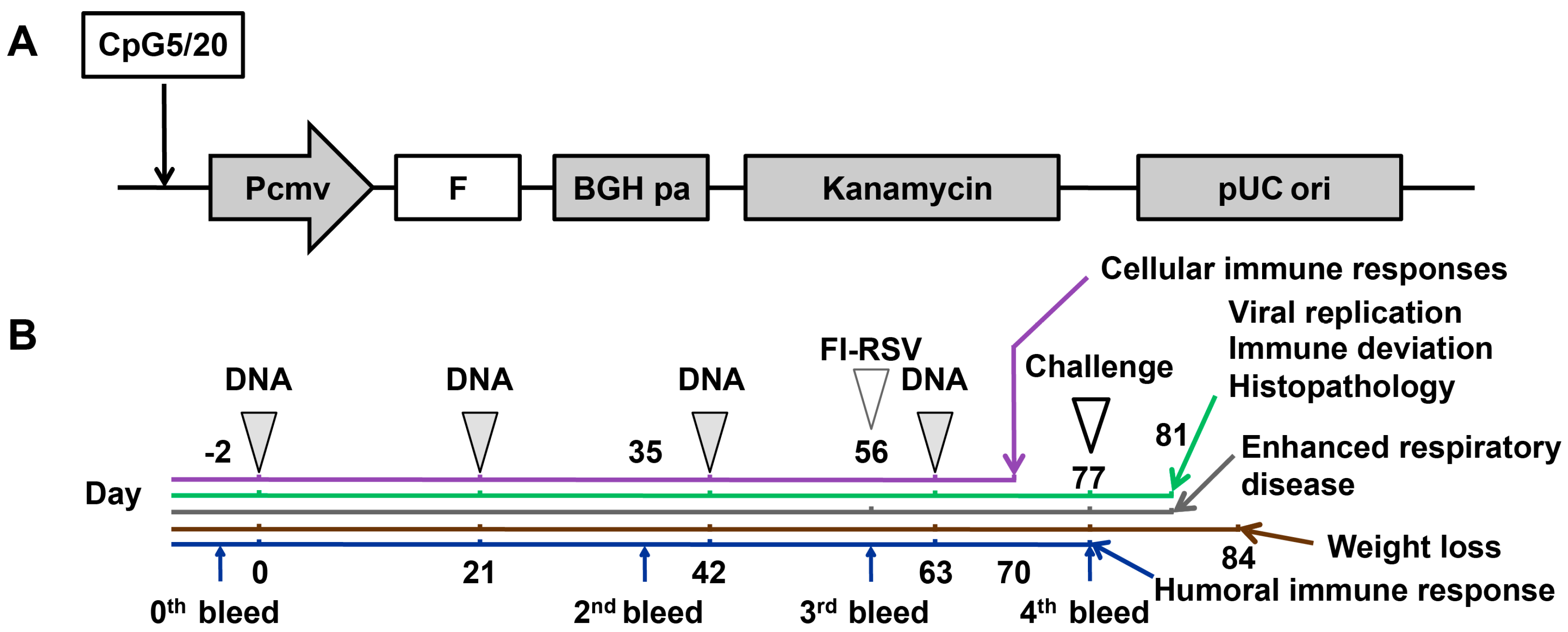Viruses 10 00038 g001