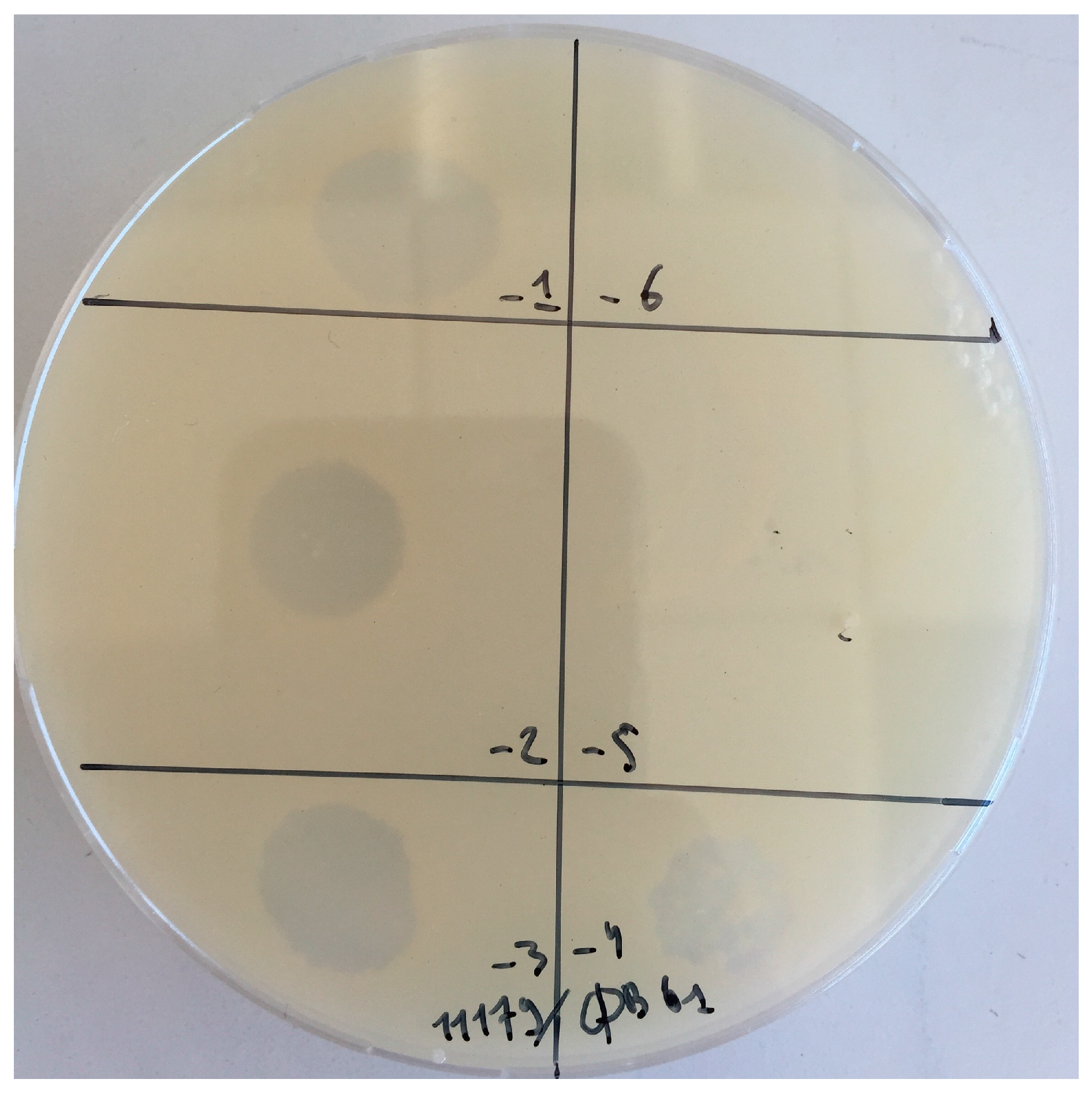 Viruses 10 00039 g001