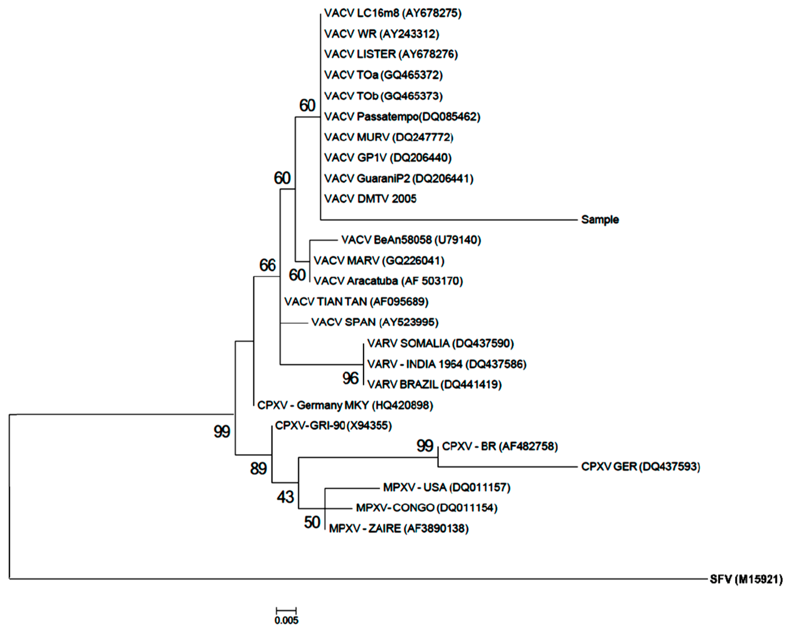 Viruses 10 00051 g002 550
