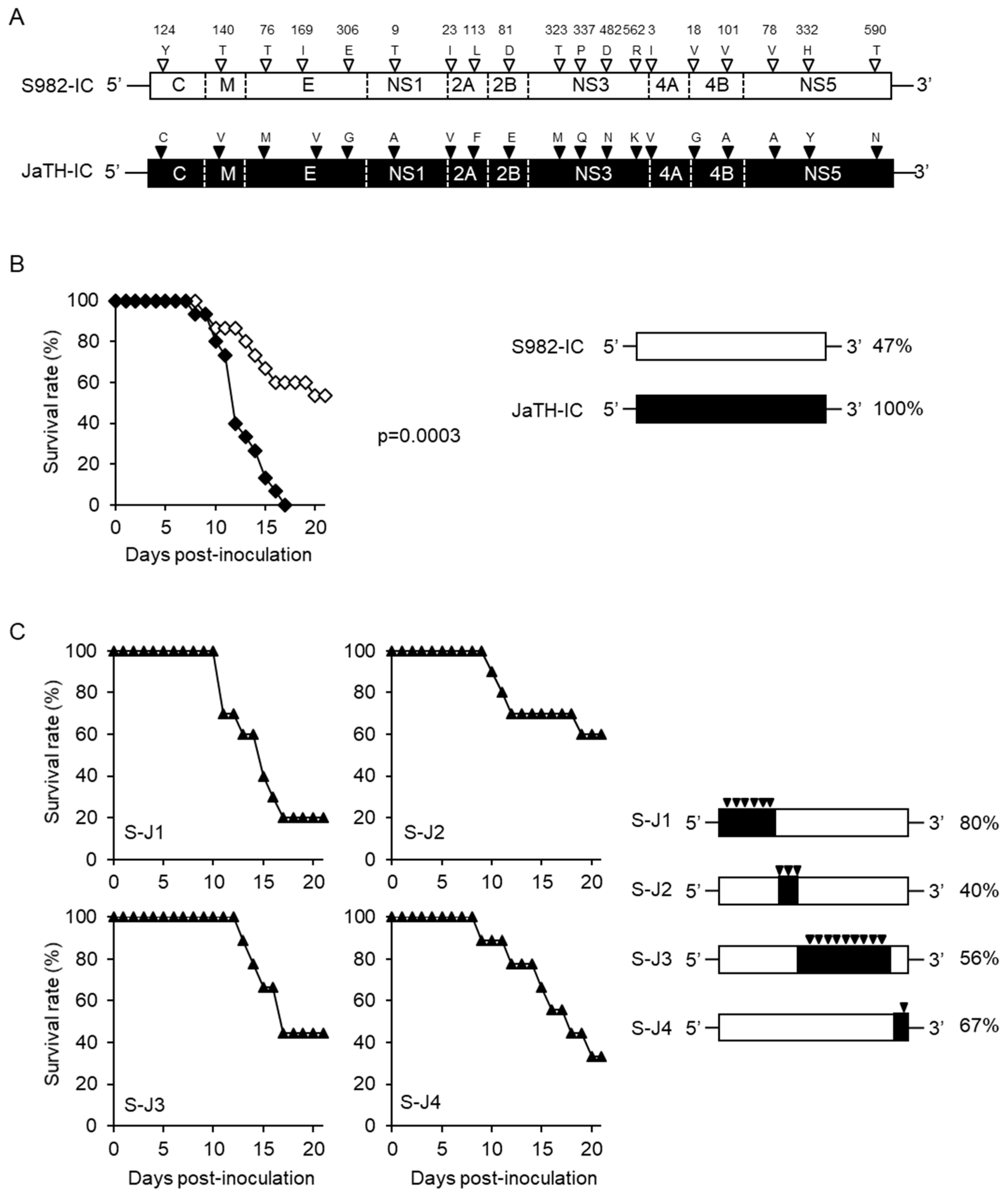 Viruses 10 00062 g001
