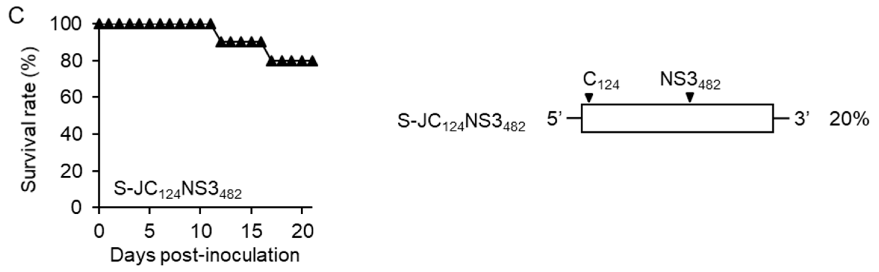 Viruses 10 00062 g004b