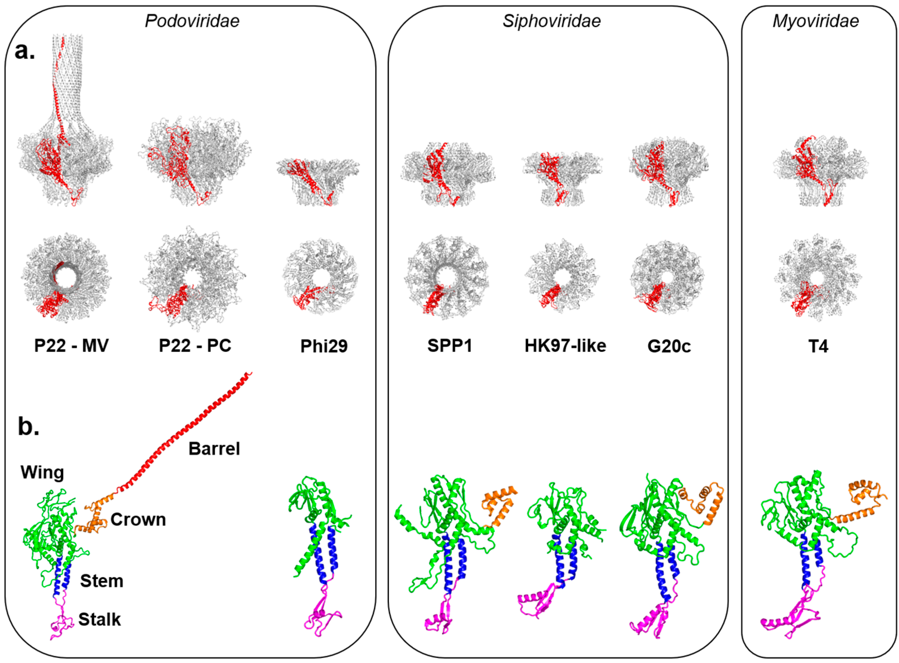 Viruses 10 00067 g001