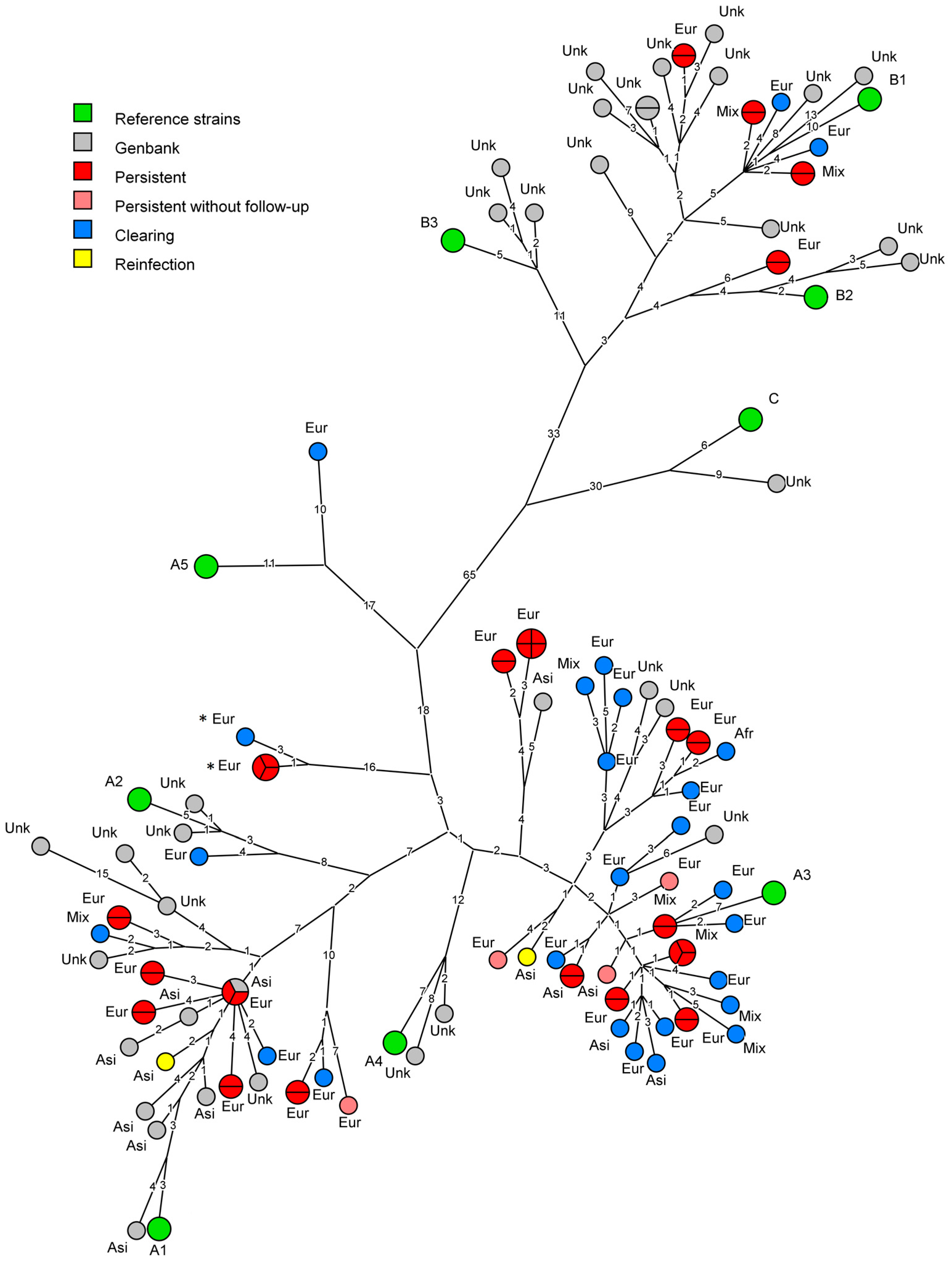 Viruses 10 00068 g002