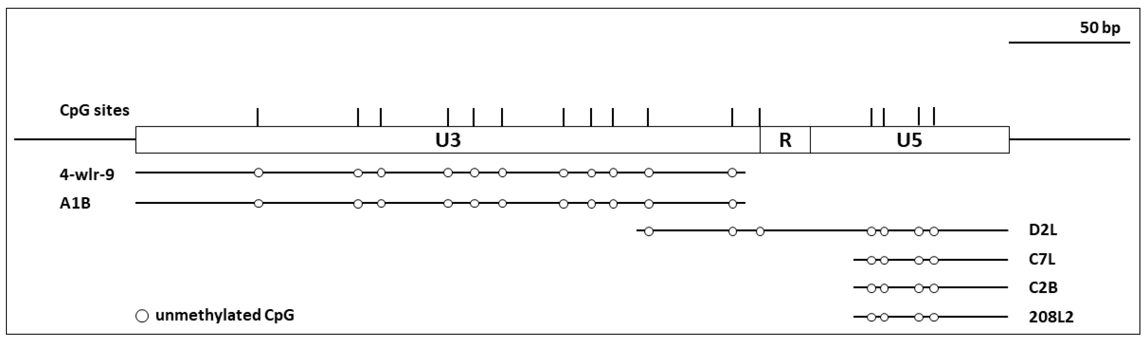 Viruses 10 00074 g003