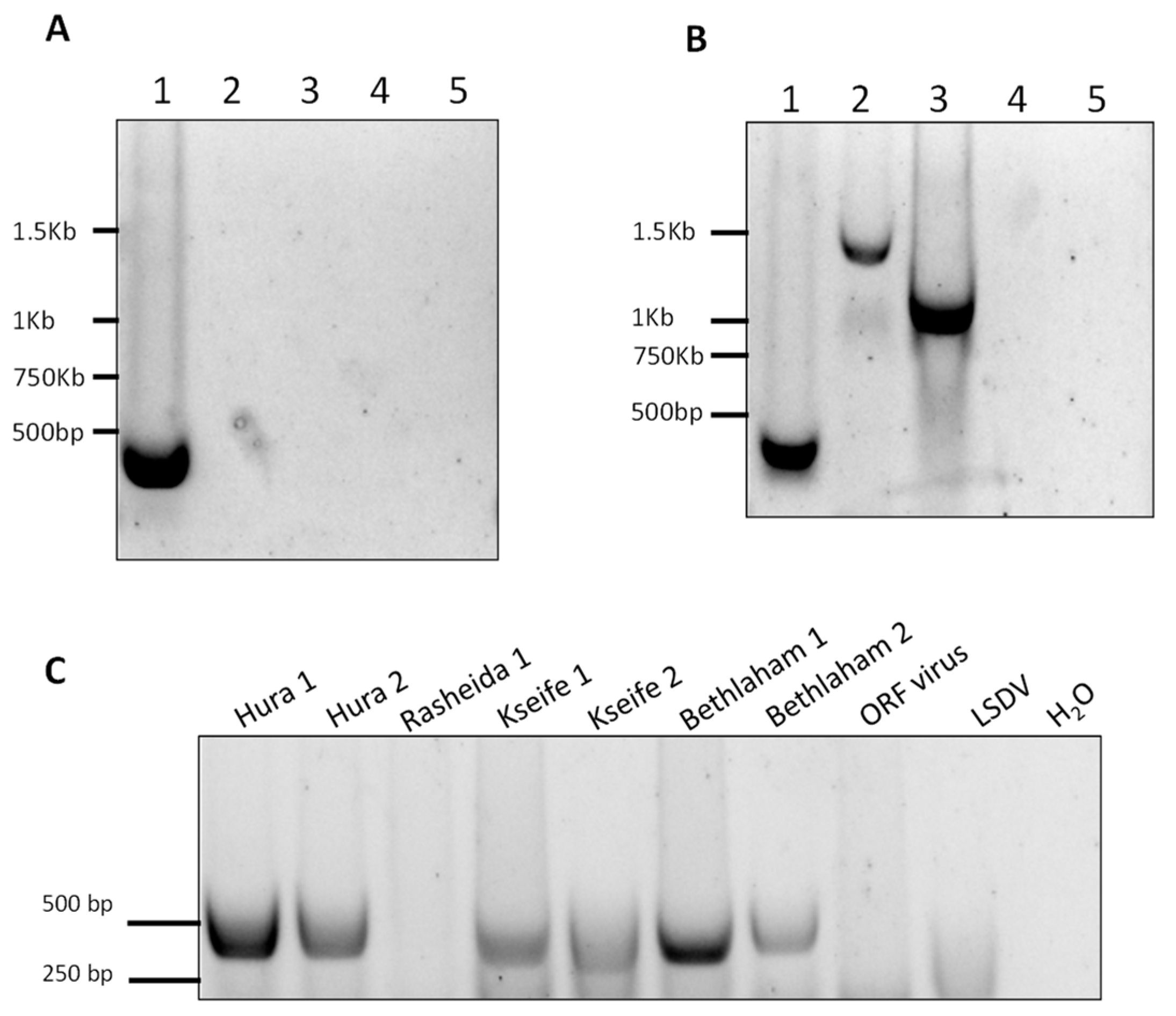 Viruses 10 00078 g006 550