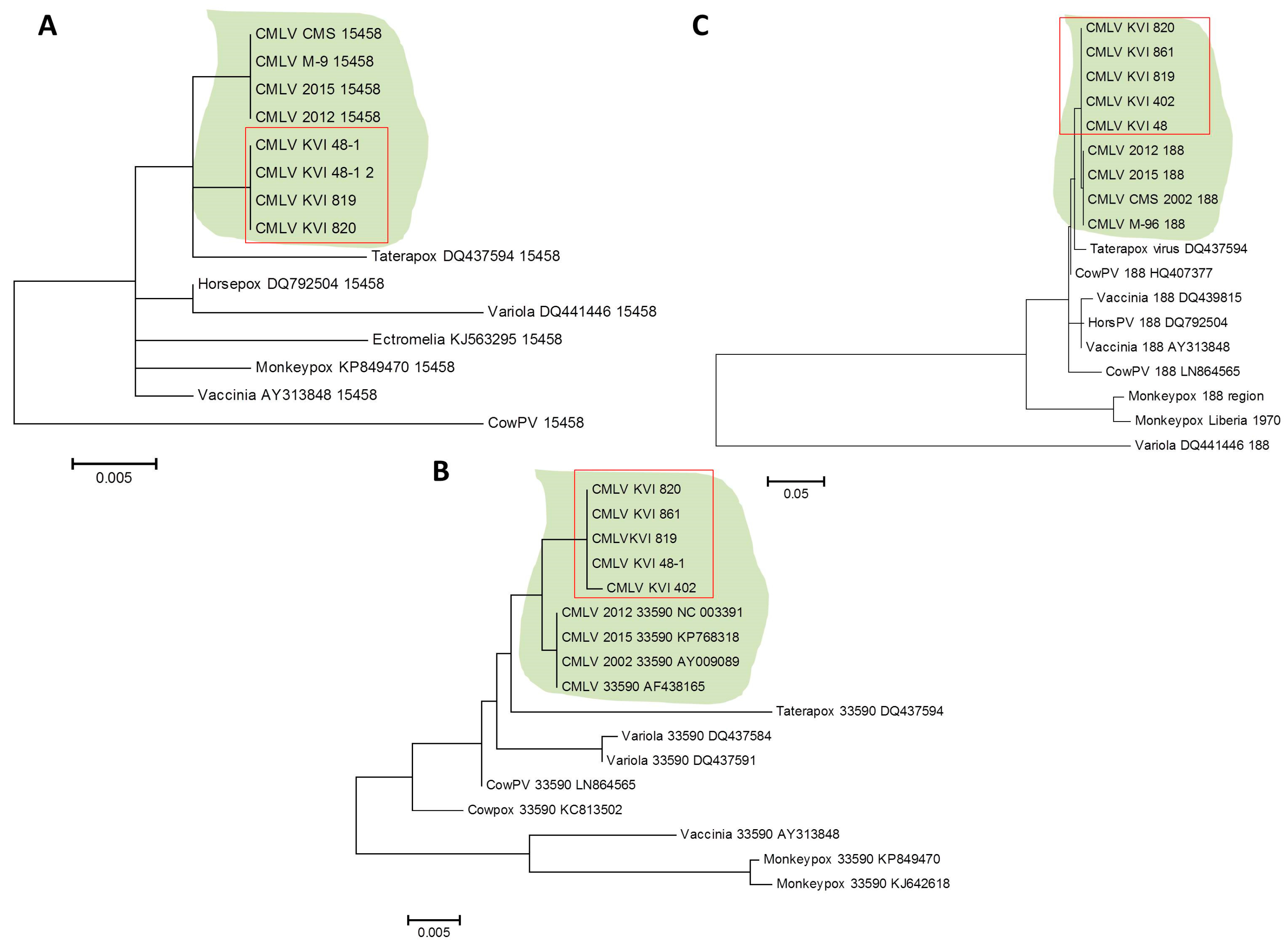 Viruses 10 00078 g007 550