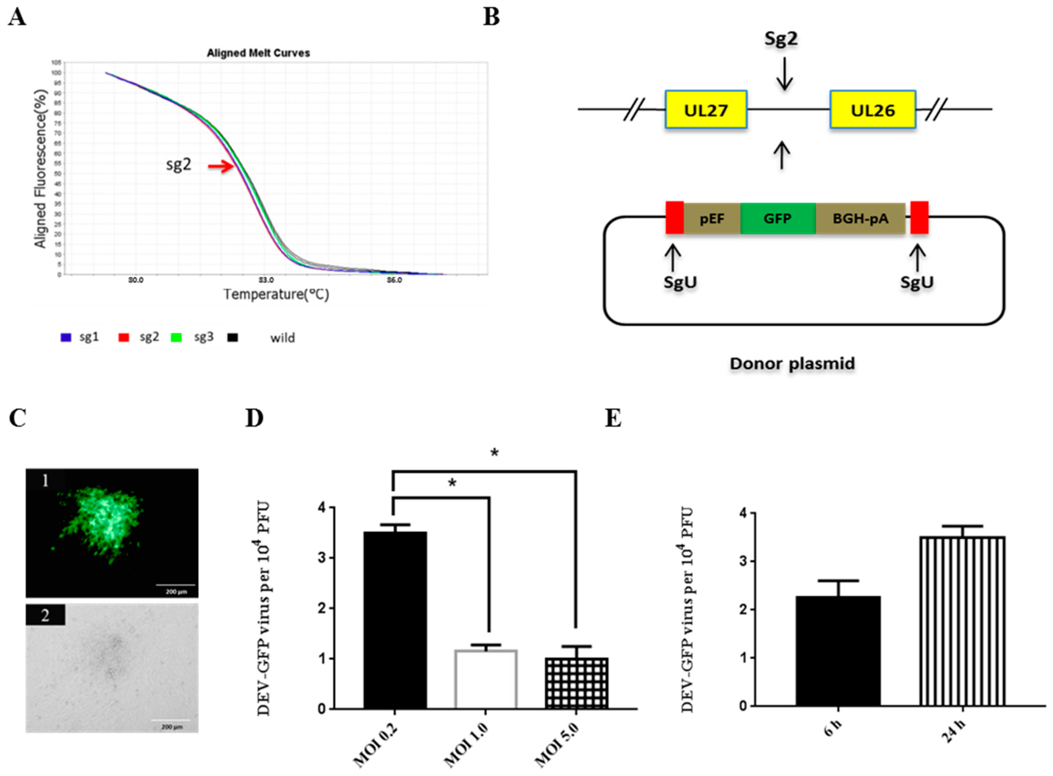 viruses free full text the application of nhej crispr cas9 and cre lox system