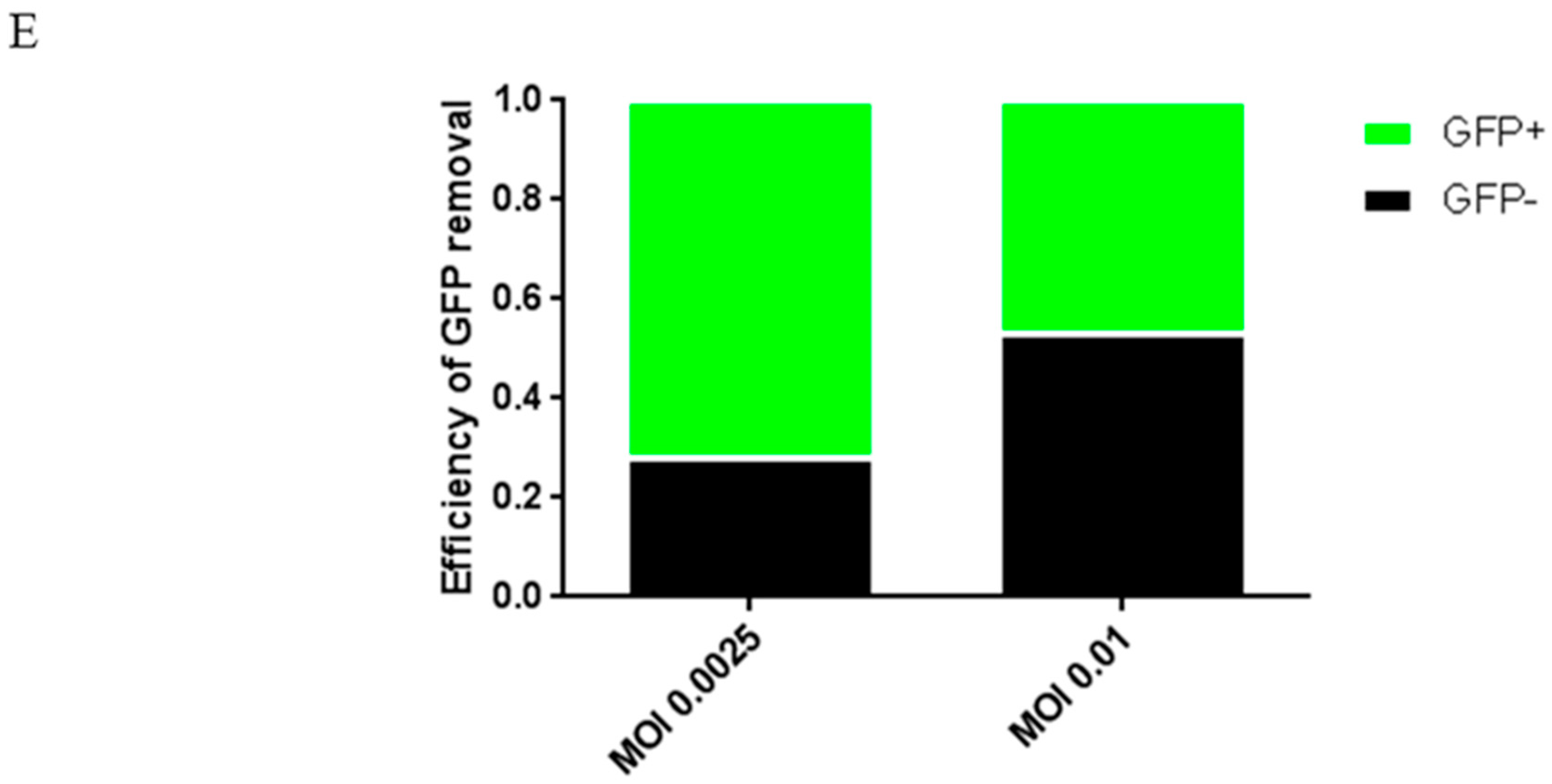 viruses free full text the application of nhej crispr cas9 and cre lox system