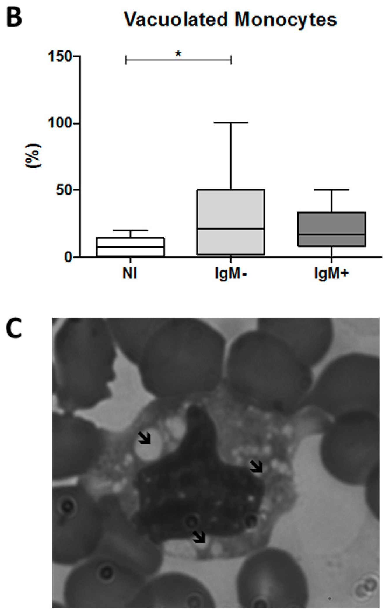 Viruses 10 00104 g004b Viruses 10 00104 g004b
