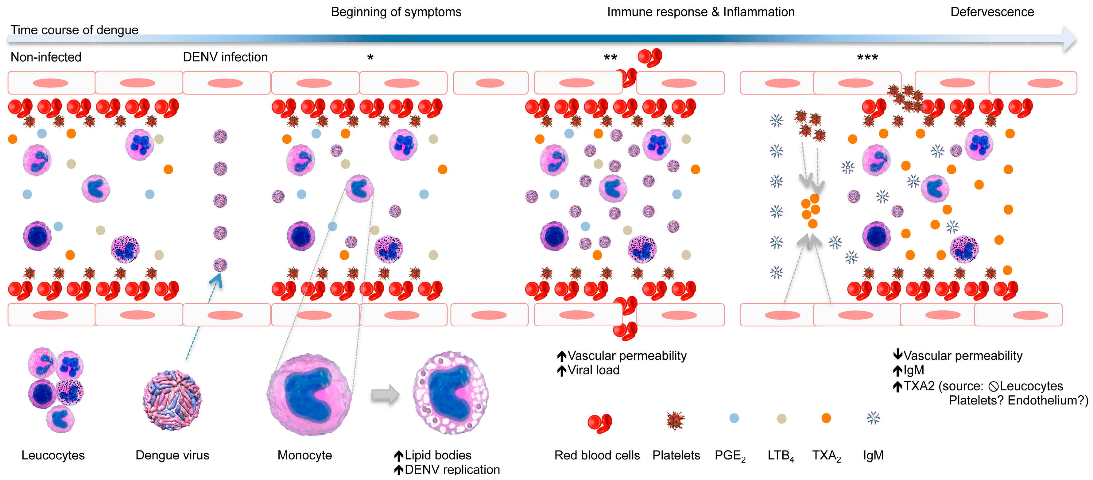 Viruses 10 00104 g005 Viruses 10 00104 g005