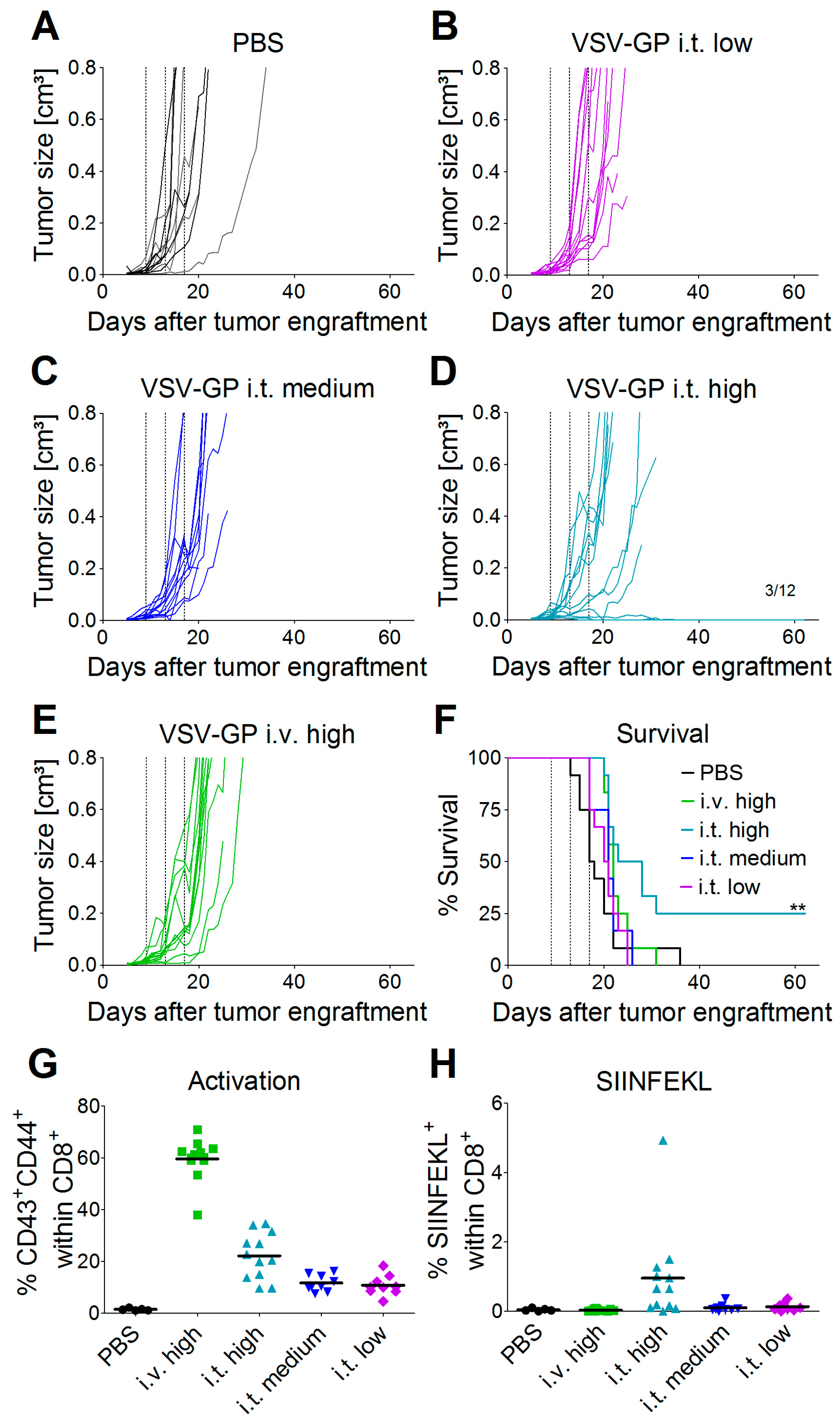 Viruses 10 00108 g003 550