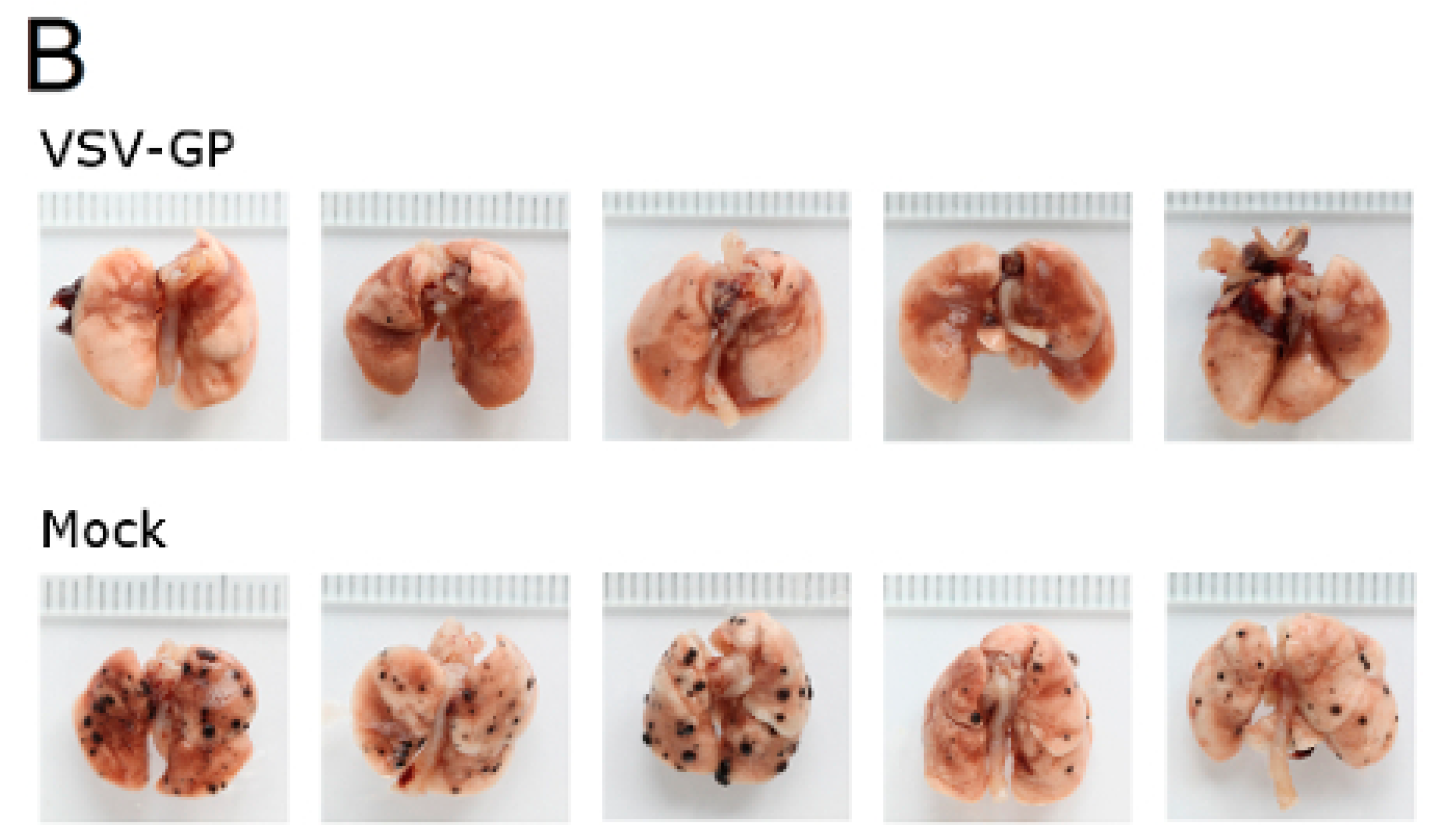 Viruses 10 00108 g007b 550