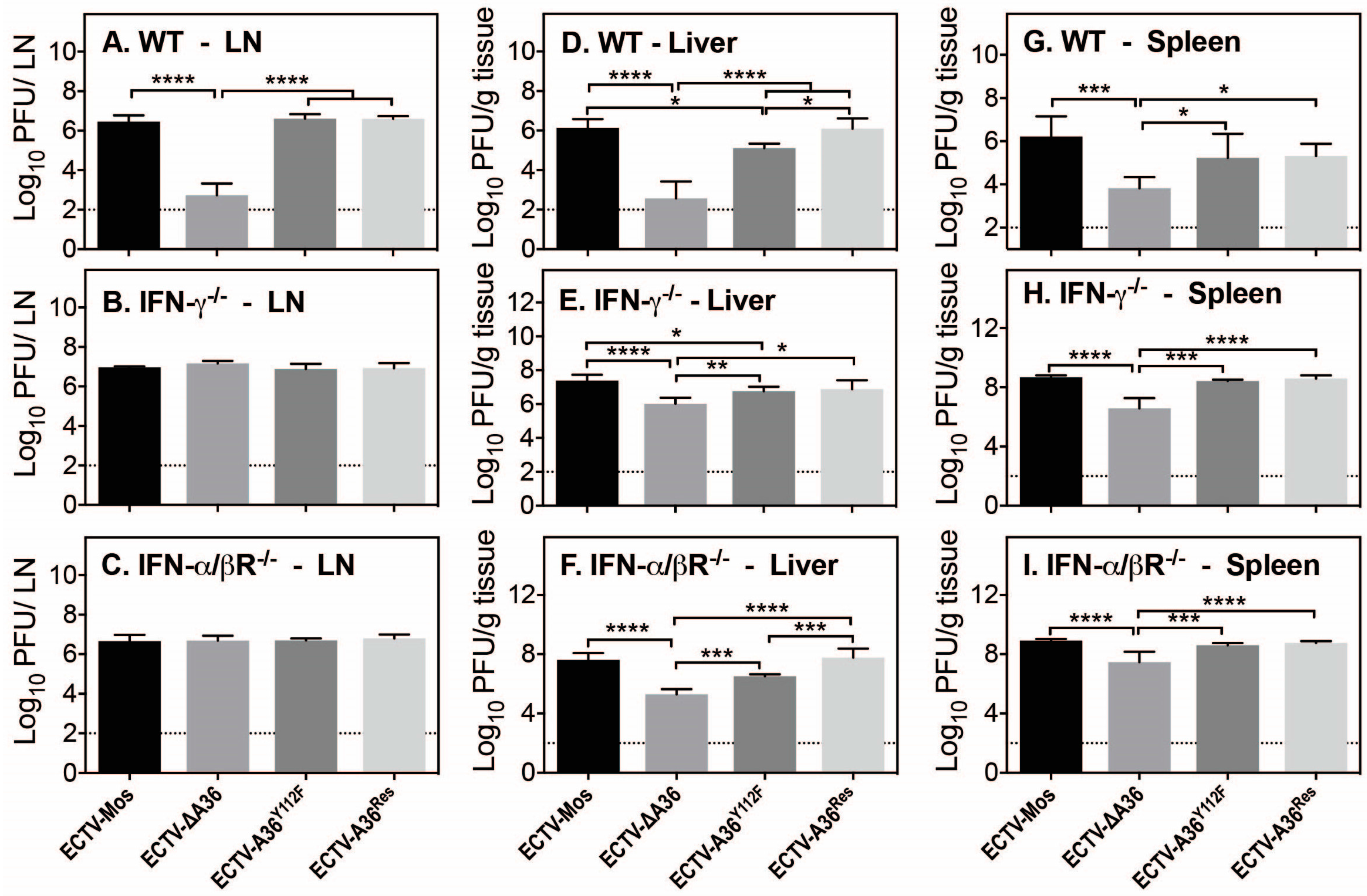 Viruses 10 00111 g005 Viruses 10 00111 g005