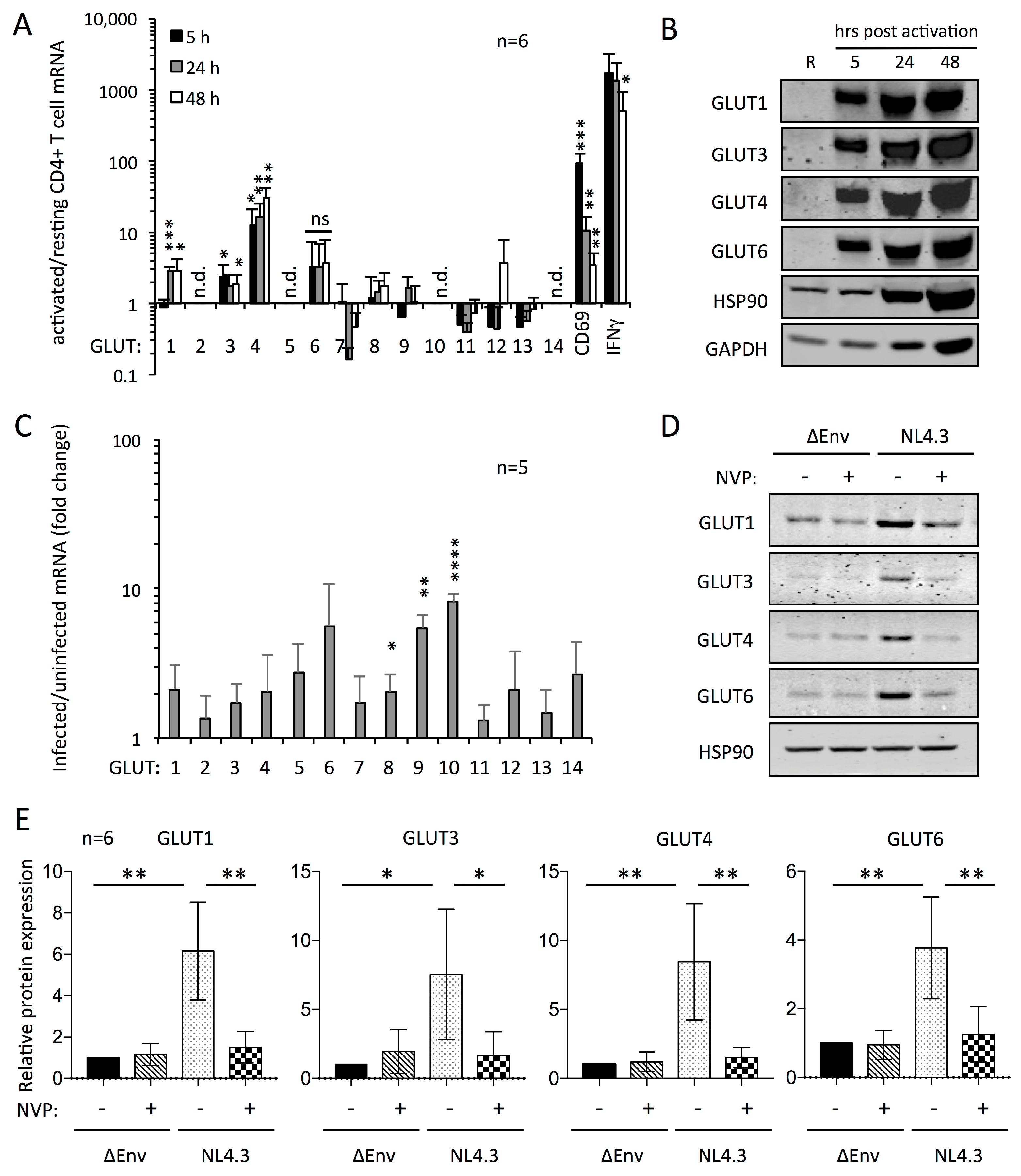 Viruses 10 00114 g001 Viruses 10 00114 g001